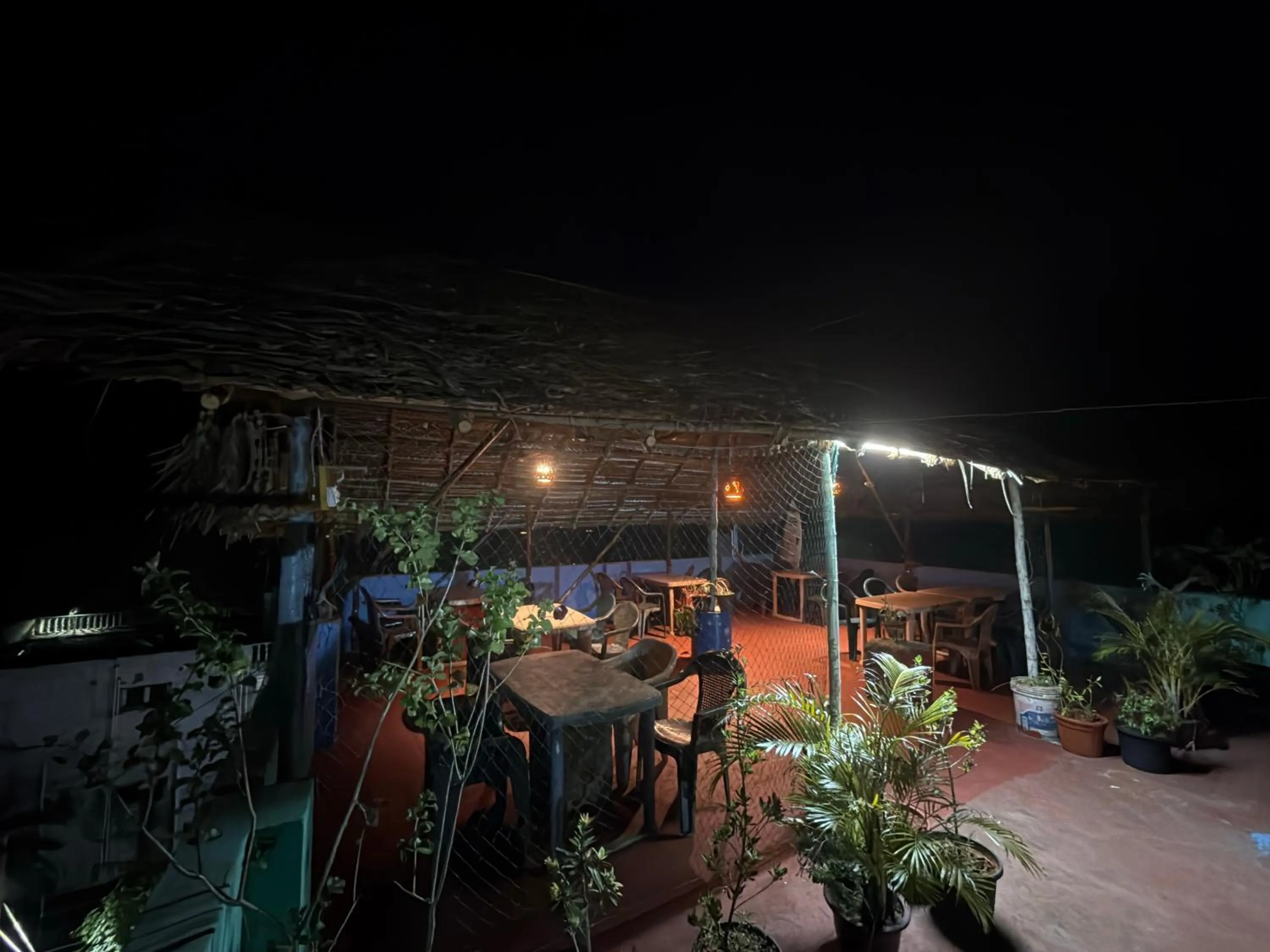 Garden in Sri Murugan Beach Paradise Hotel