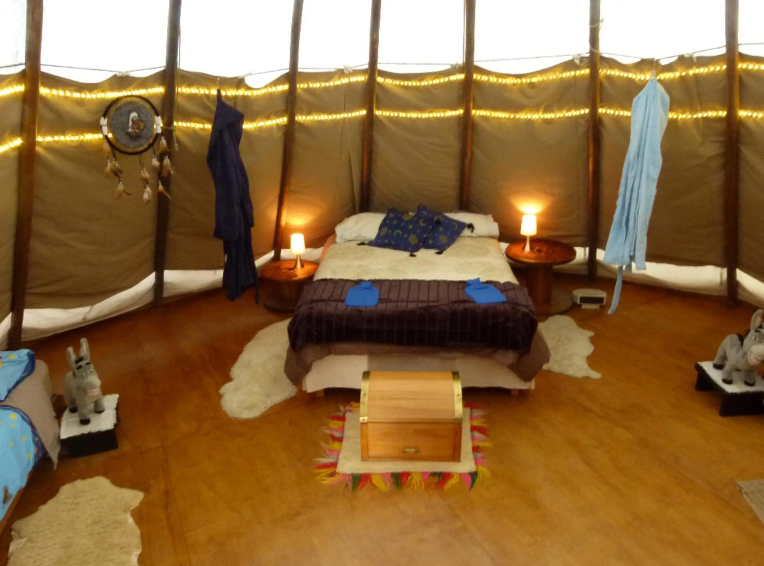 Bed in Wacky Stays - unique farm-stay glamping rentals, FREE animal feeding tours