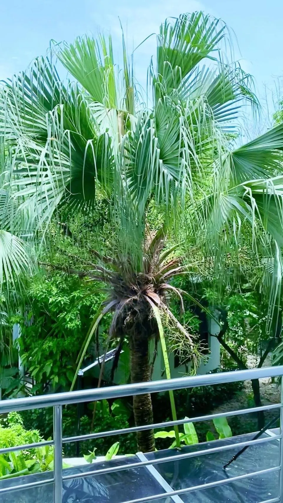 Ton Sai Tropical Phi Phi Island