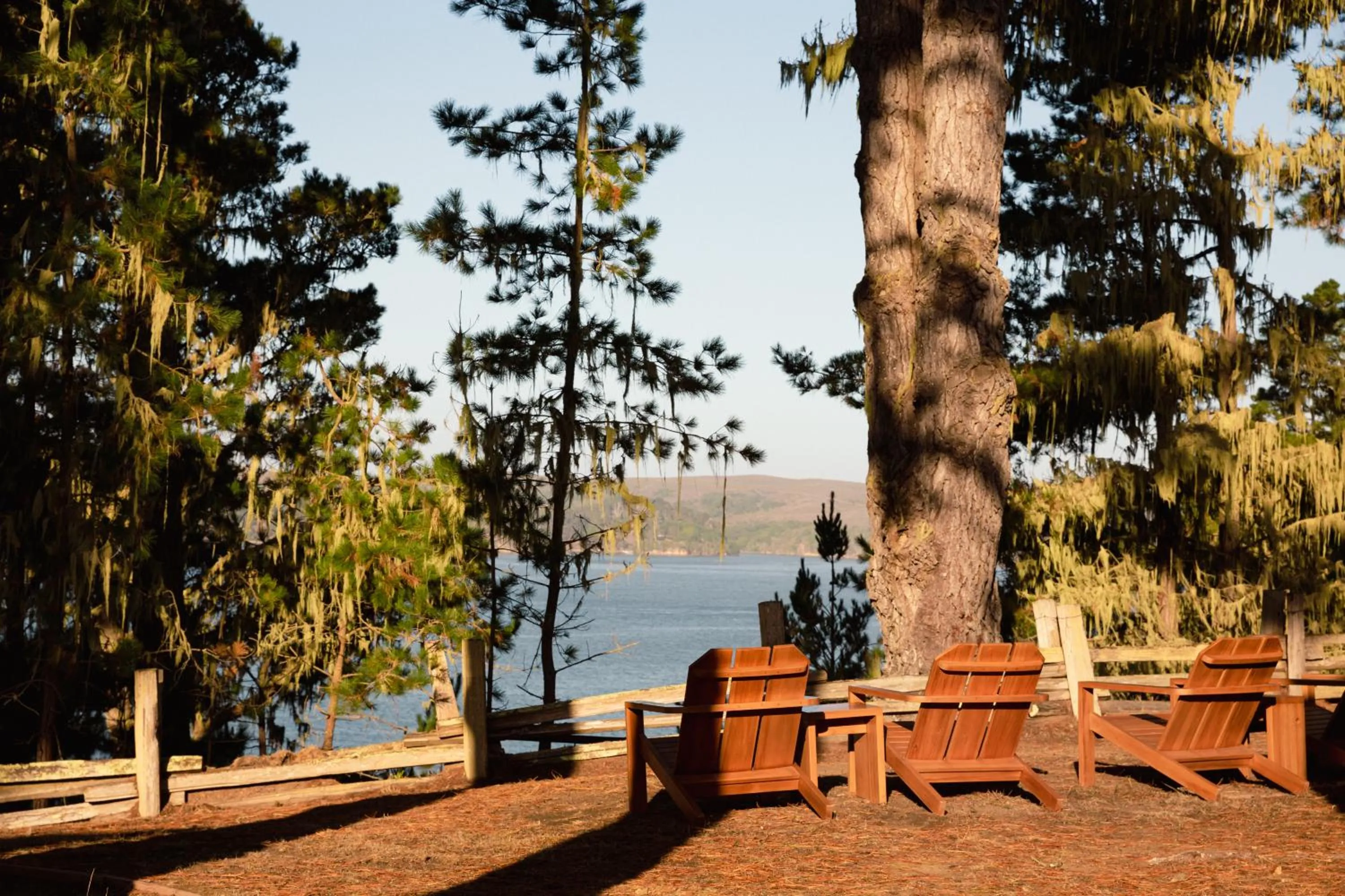 View (from property/room) in Lodge At Marconi