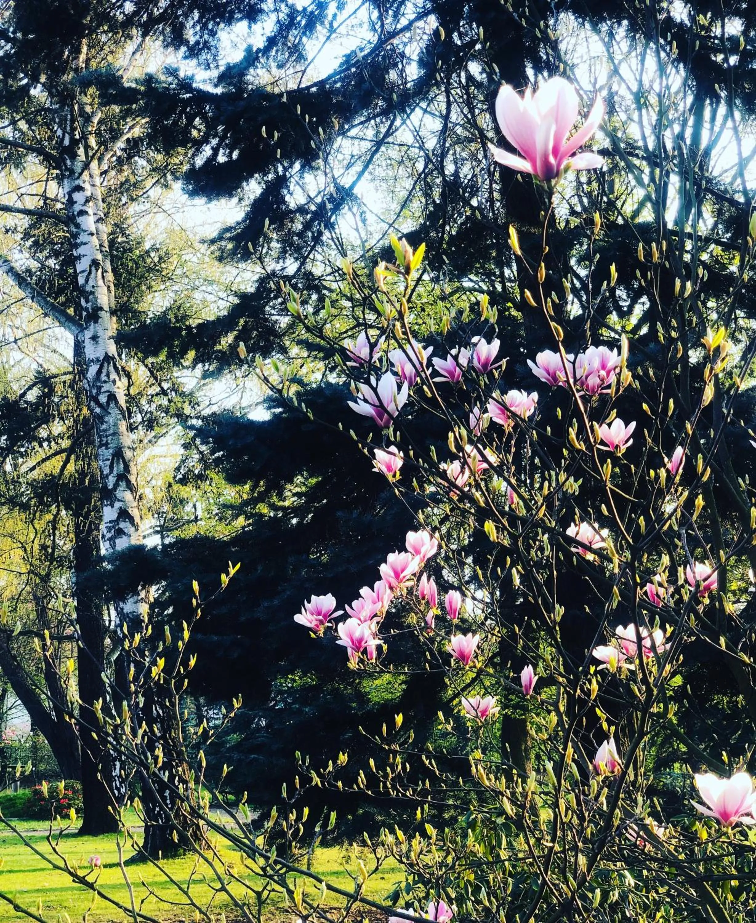 Rezydencja Willa Park & Restauracja