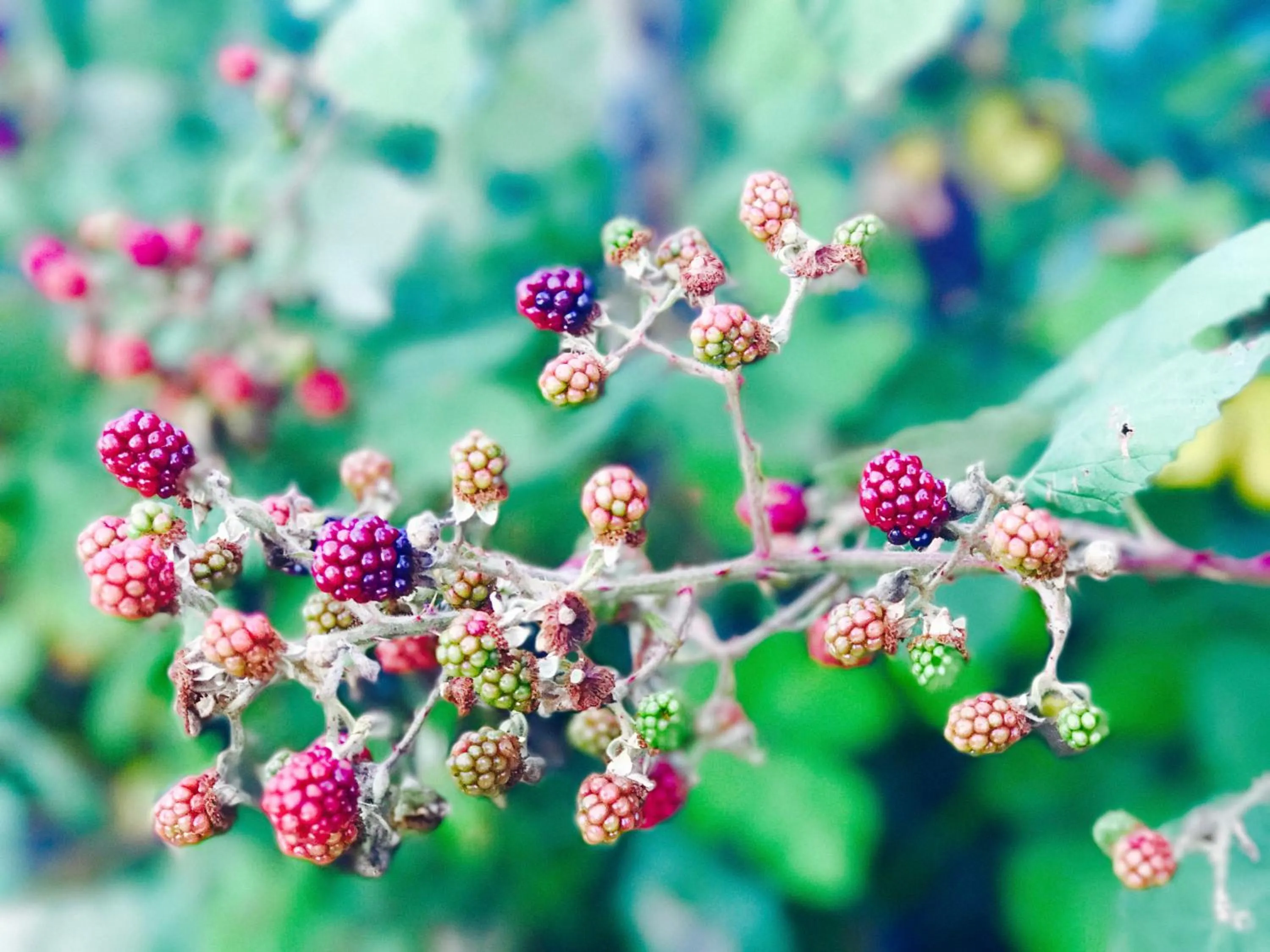 Rezydencja Willa Park & Restauracja