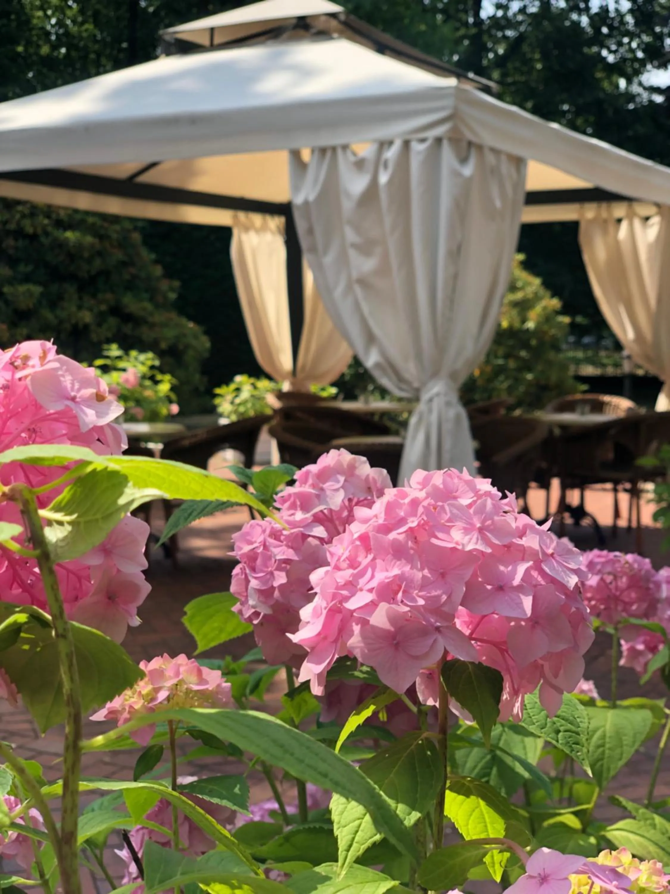 Rezydencja Willa Park & Restauracja