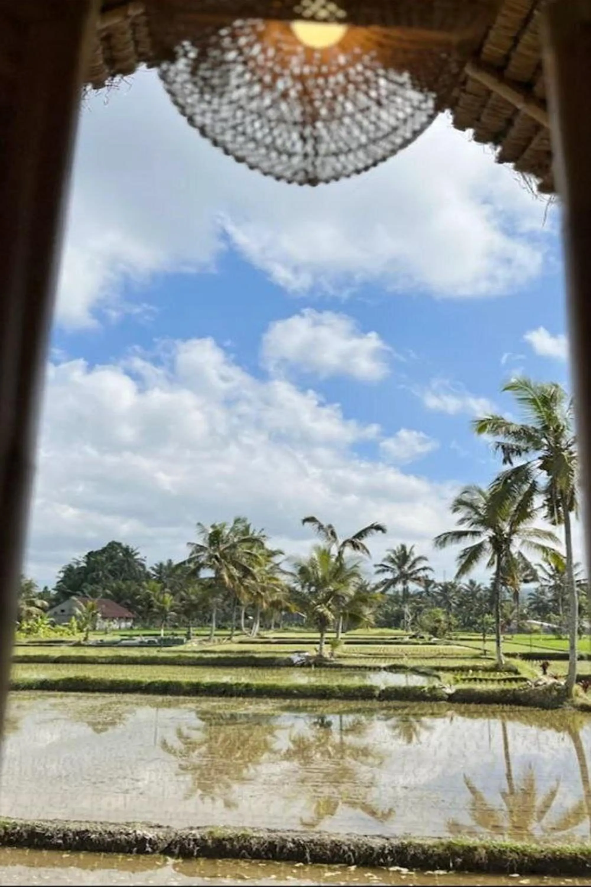 Natural landscape in Tiny ECO Bamboo Ubud