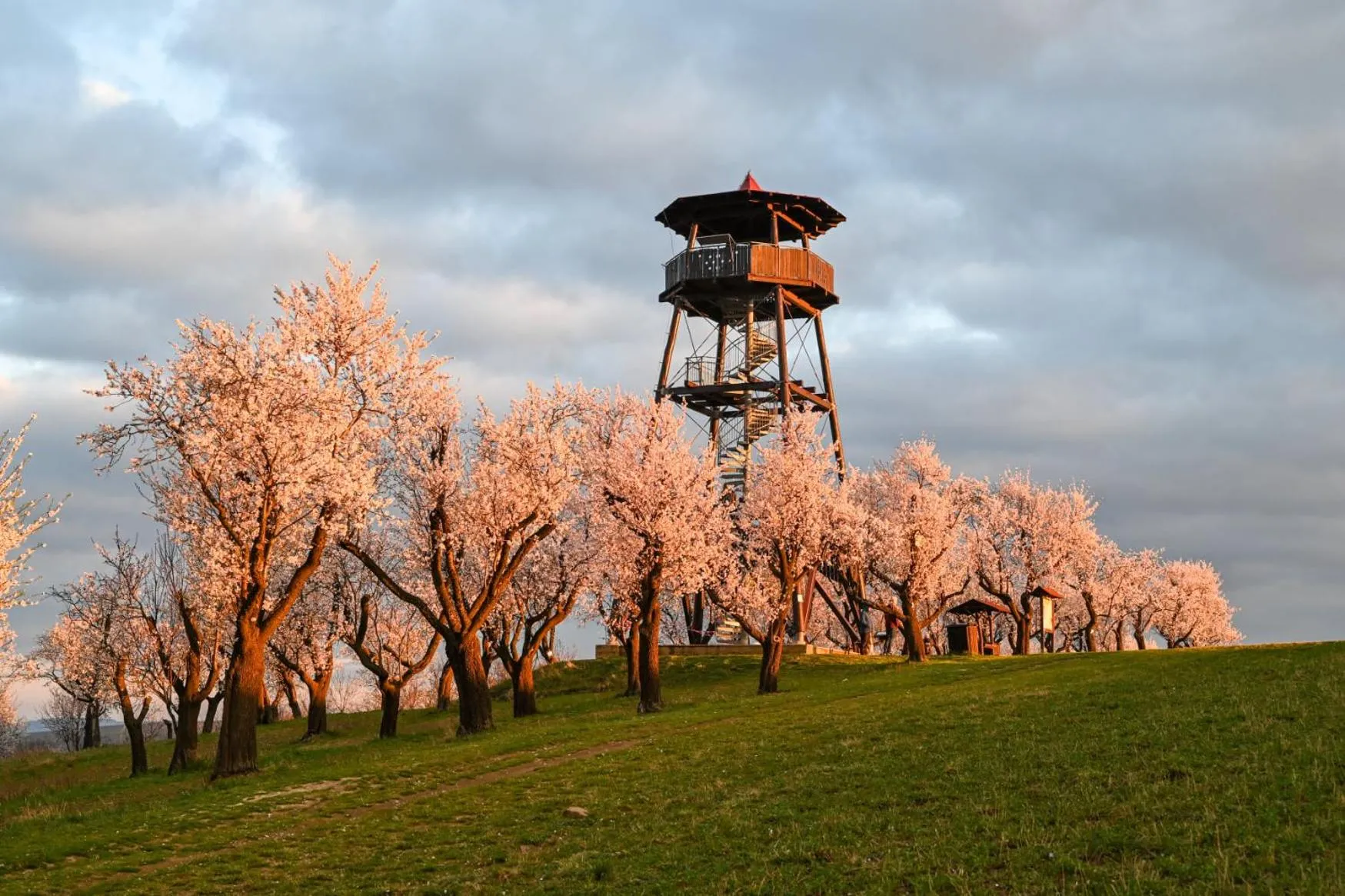 Hotel Rustikal Hustopeče - U Mandloňových sadů