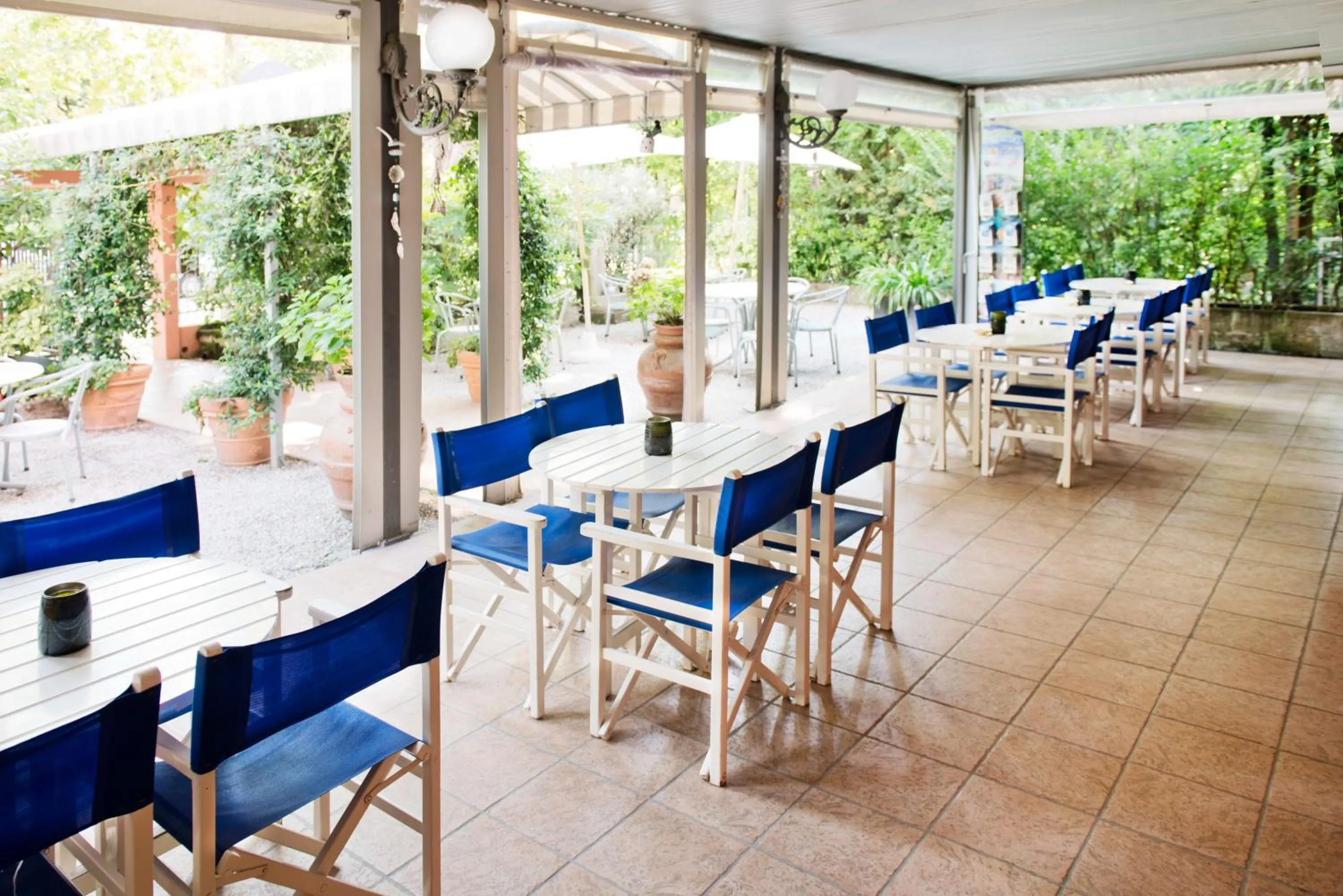 Garden in Hotel Villa Rosa