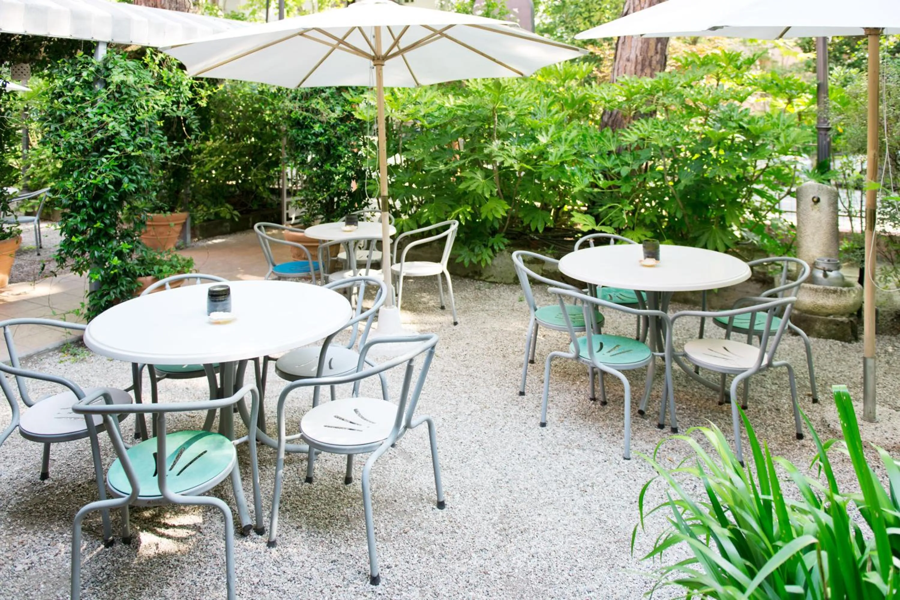 Garden in Hotel Villa Rosa