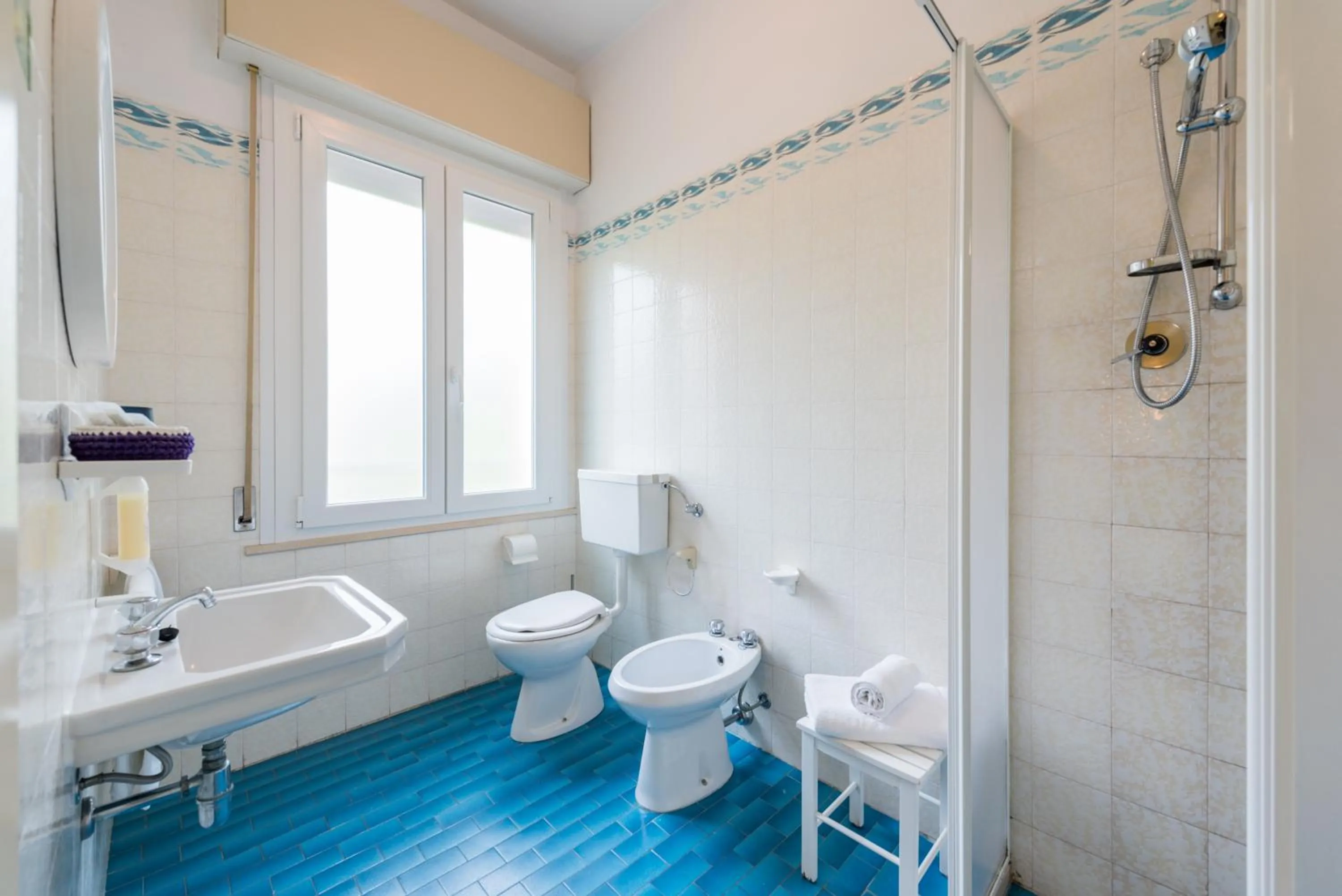 Toilet in Hotel Villa Rosa