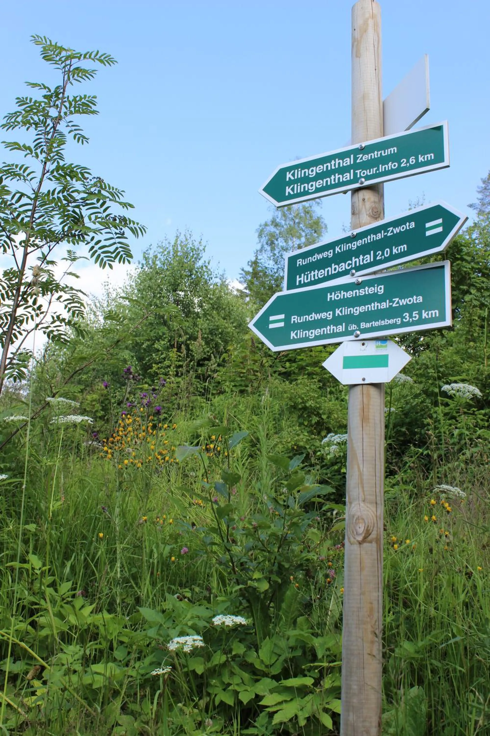 Hiking in Landhotel Gasthof Zwota