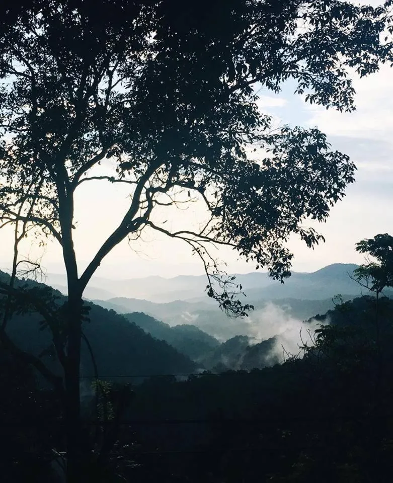 Mountain view in Lannawild