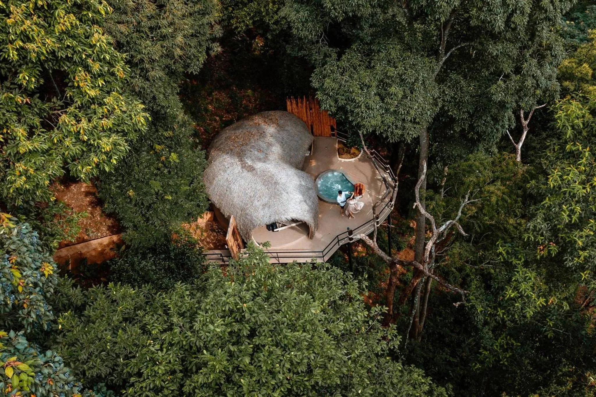 Bird's eye view in Lannawild