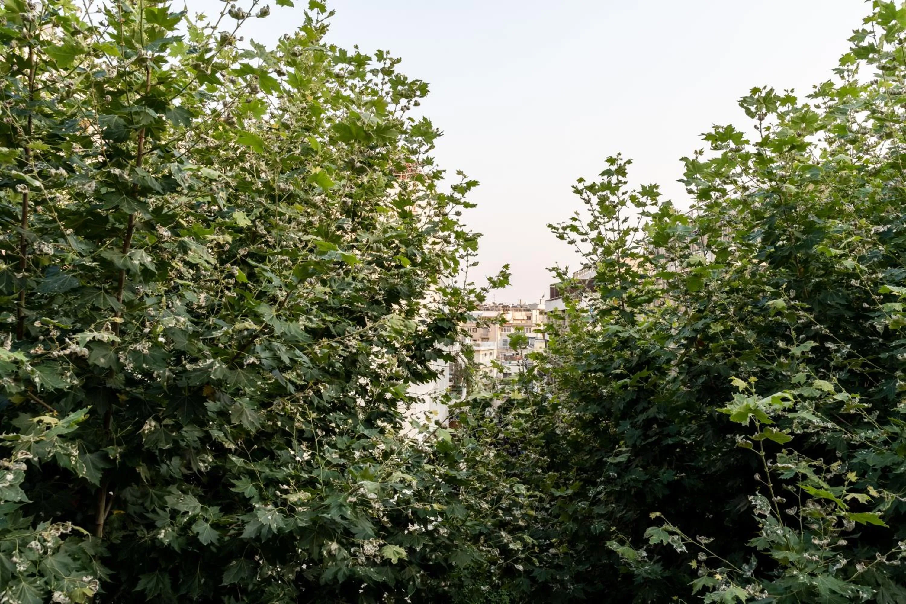 Frinichou 18 by Athens Concept Residences