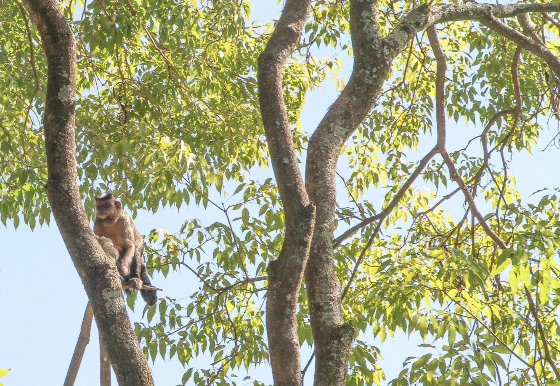 Natural landscape in Les Jardins de Rio Boutique Hotel