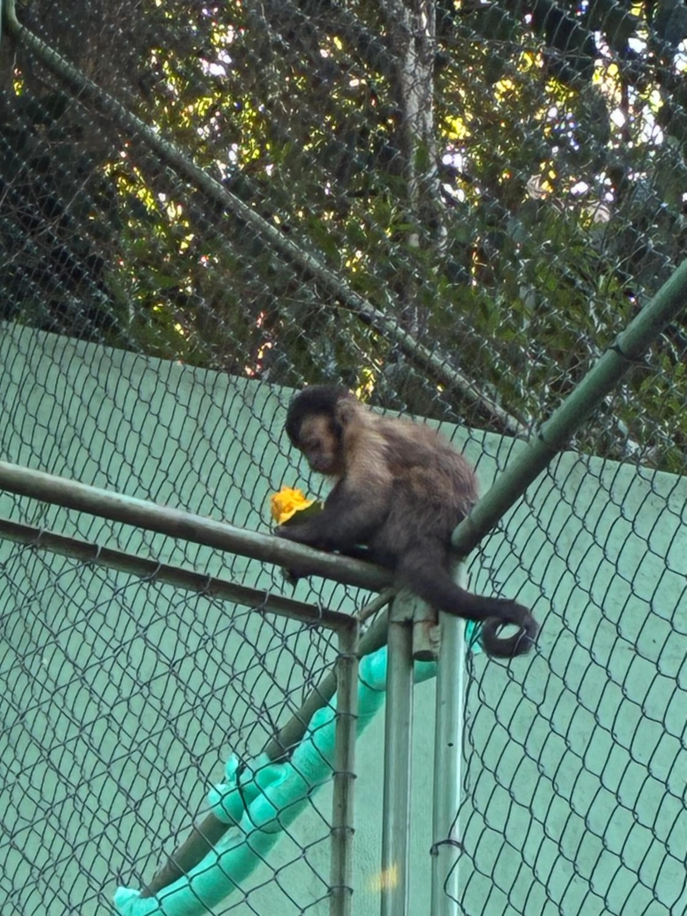 Day in Les Jardins de Rio Boutique Hotel