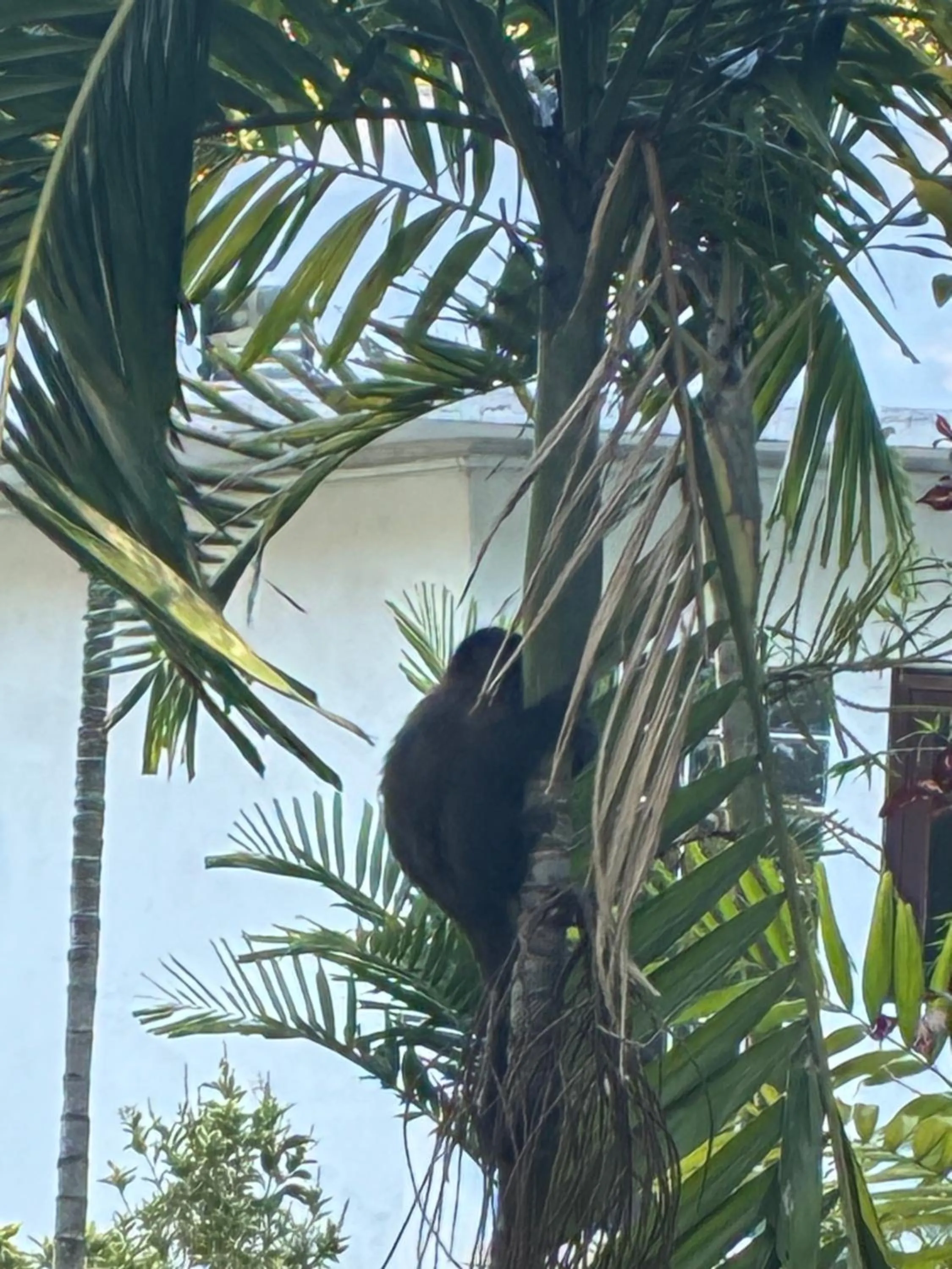 Day in Les Jardins de Rio Boutique Hotel