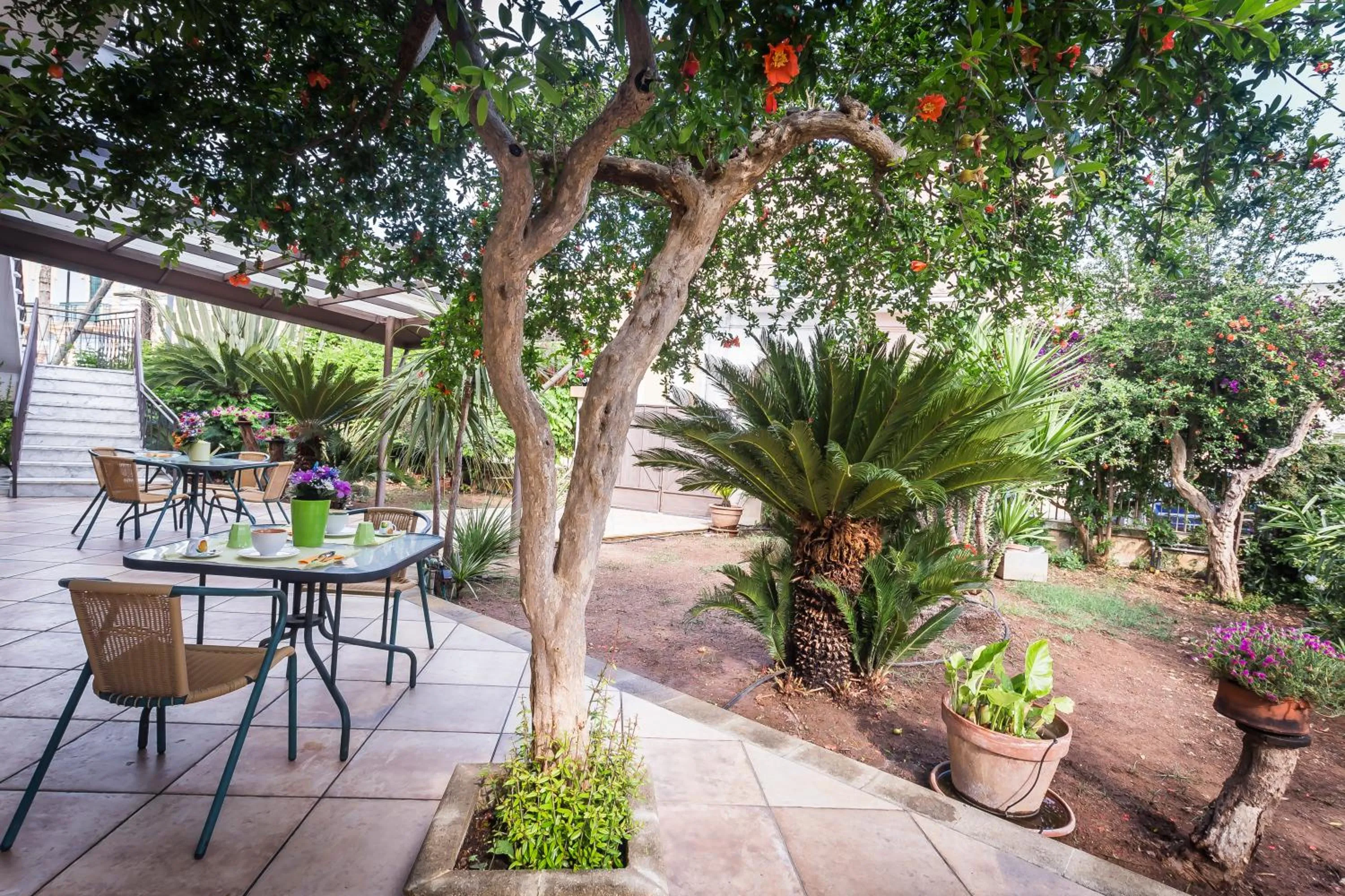 Property building in Mandarinoarancio