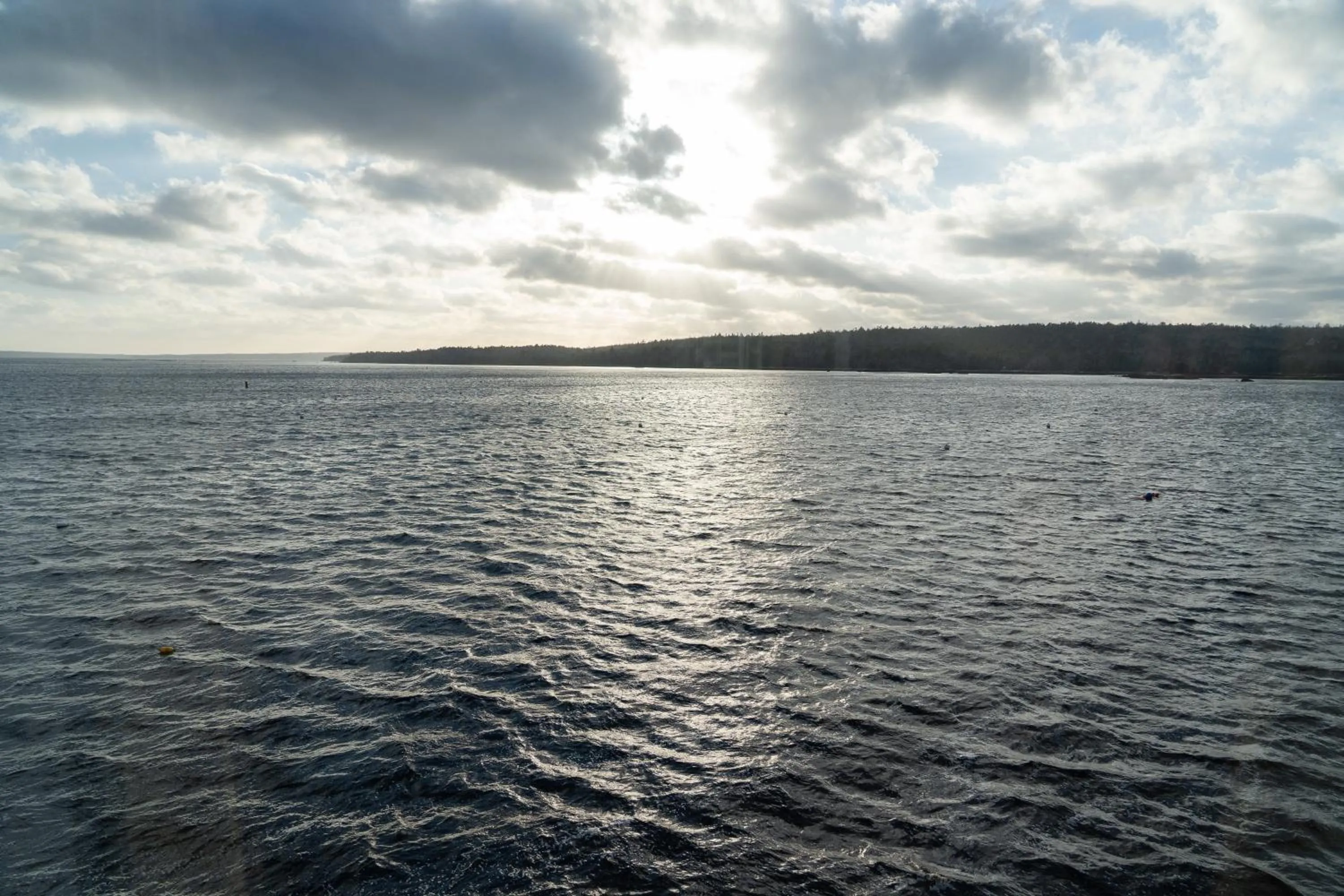 Natural landscape in Albert's