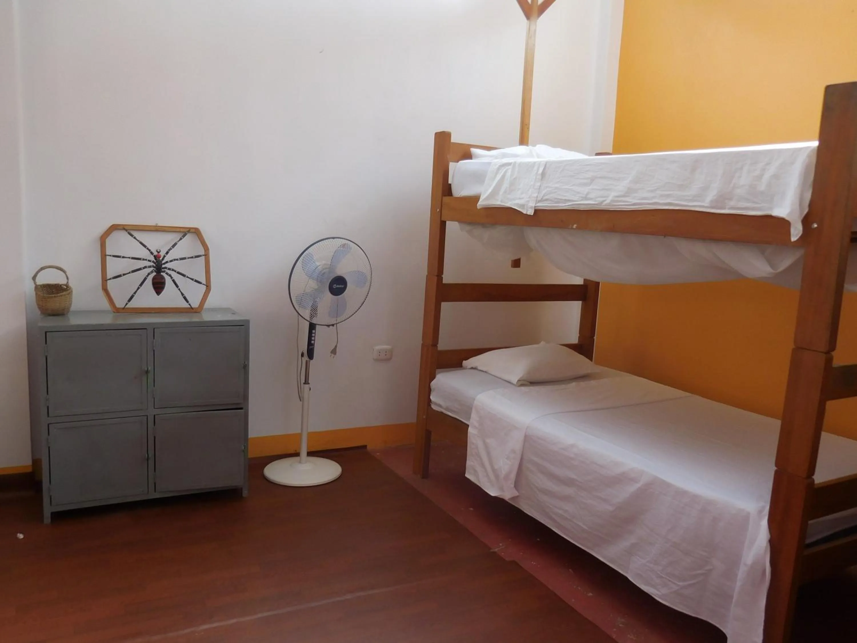 Photo of the whole room, Bed in Tambopata Hostel