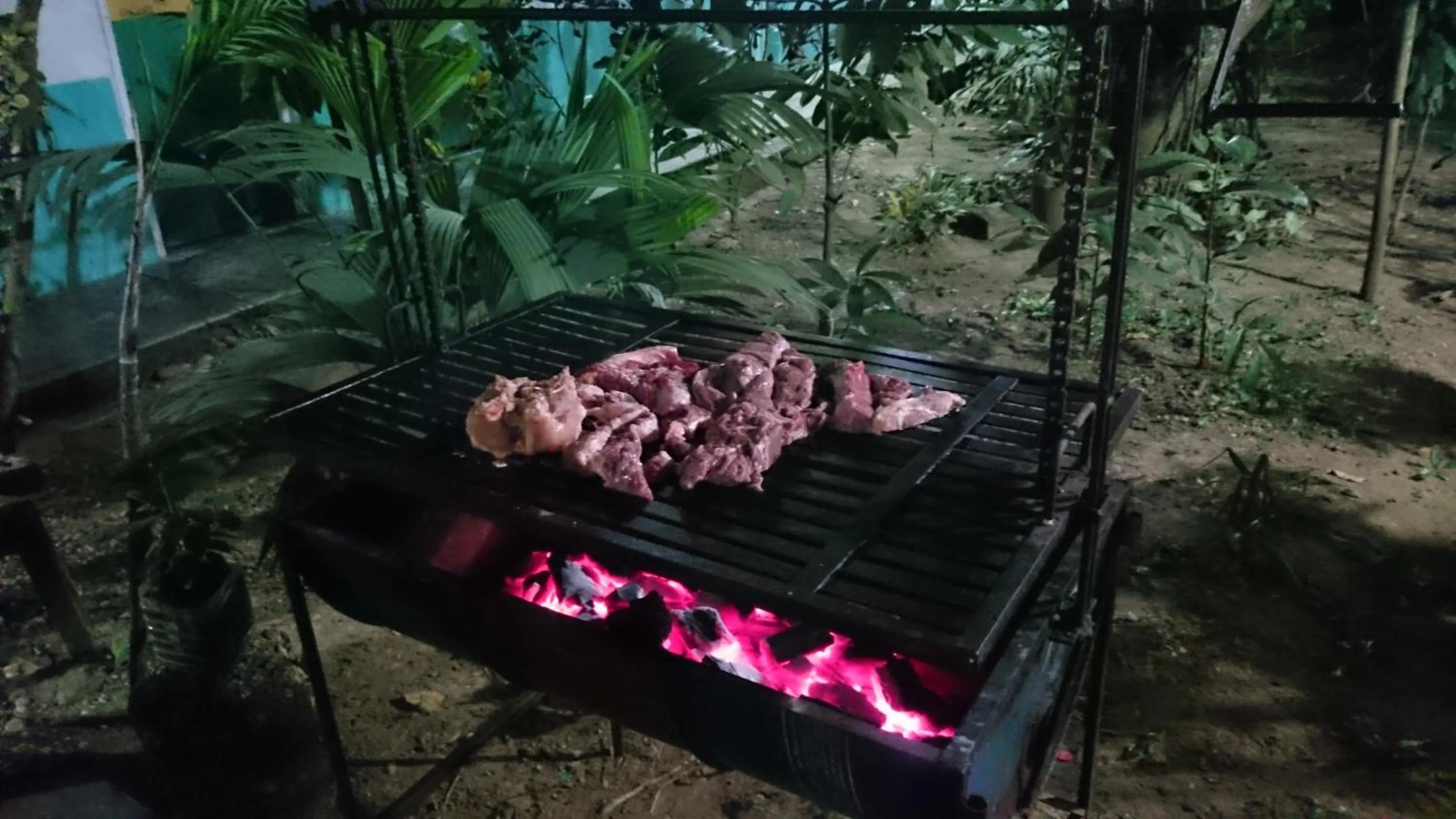Patio in Tambopata Hostel