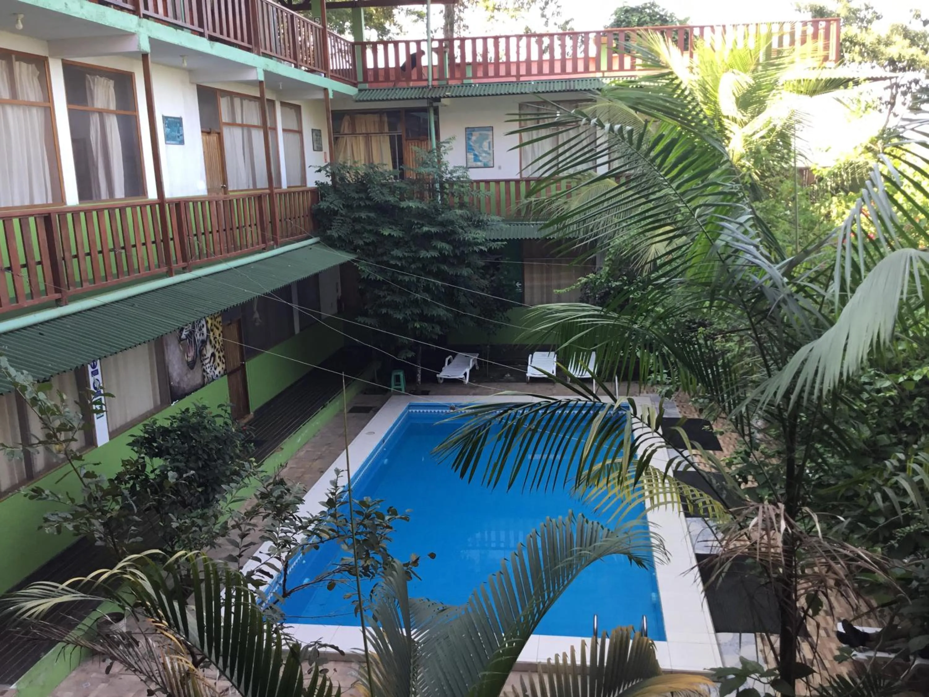 Balcony/Terrace in Tambopata Hostel