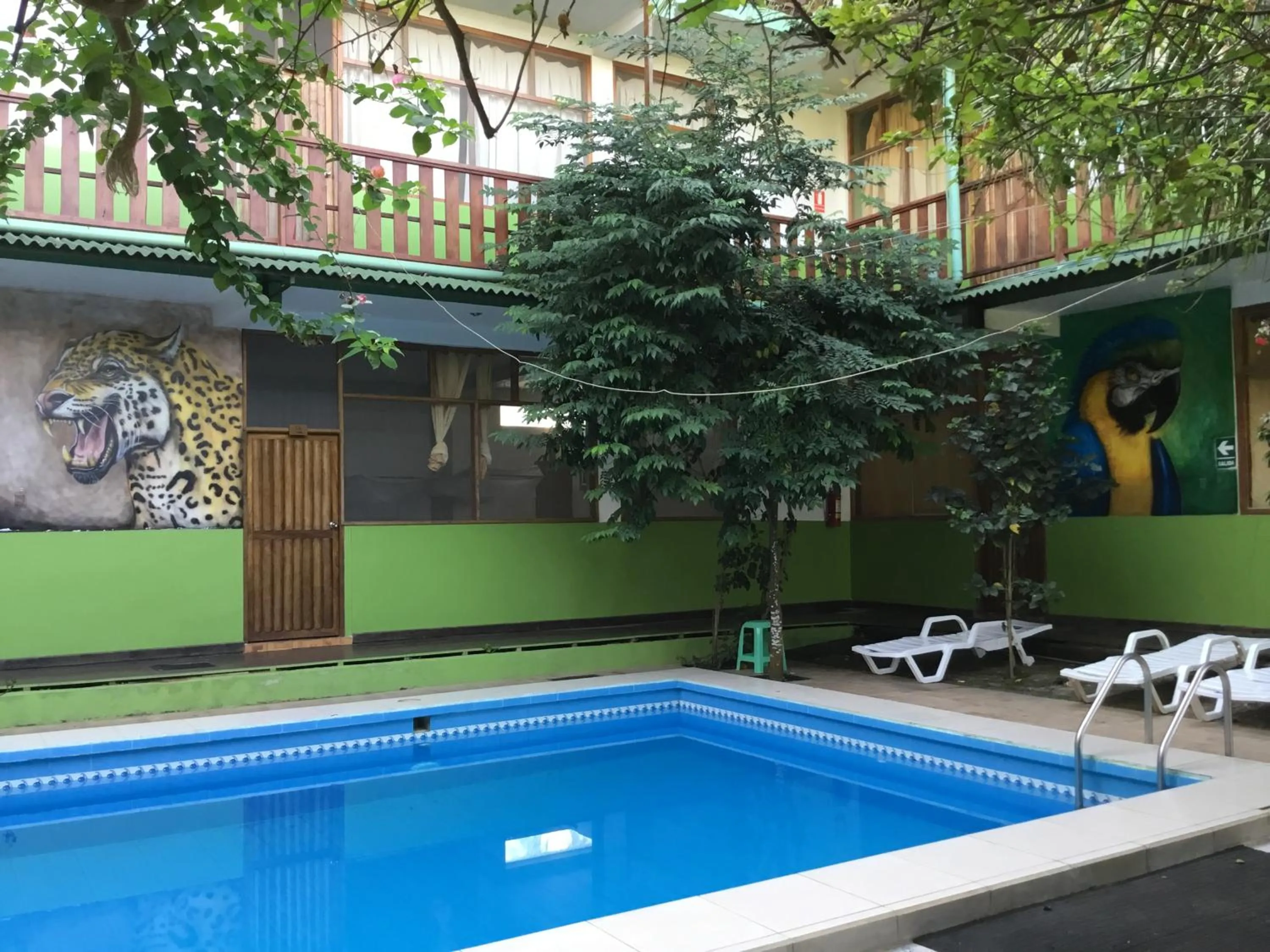 Swimming pool in Tambopata Hostel