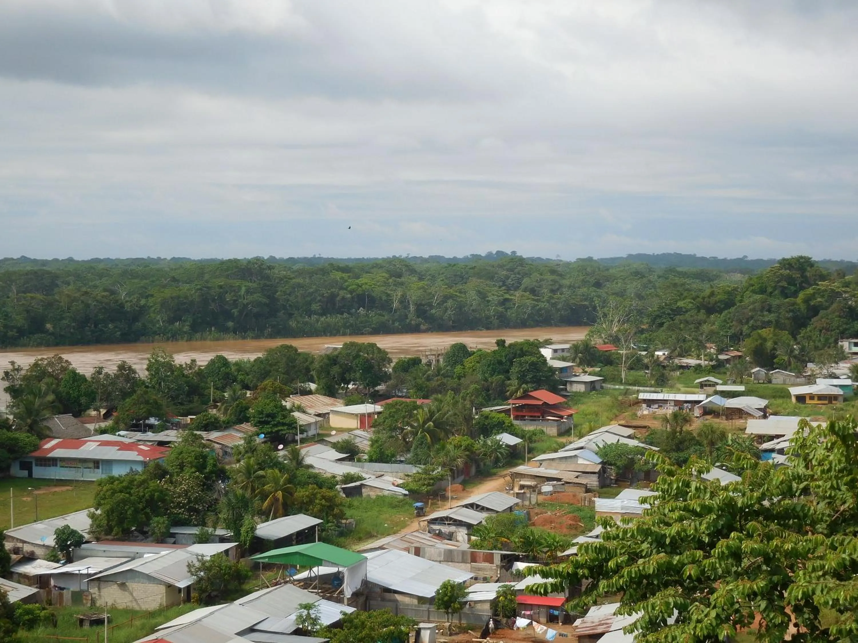 Bird's eye view in Tambopata Hostel
