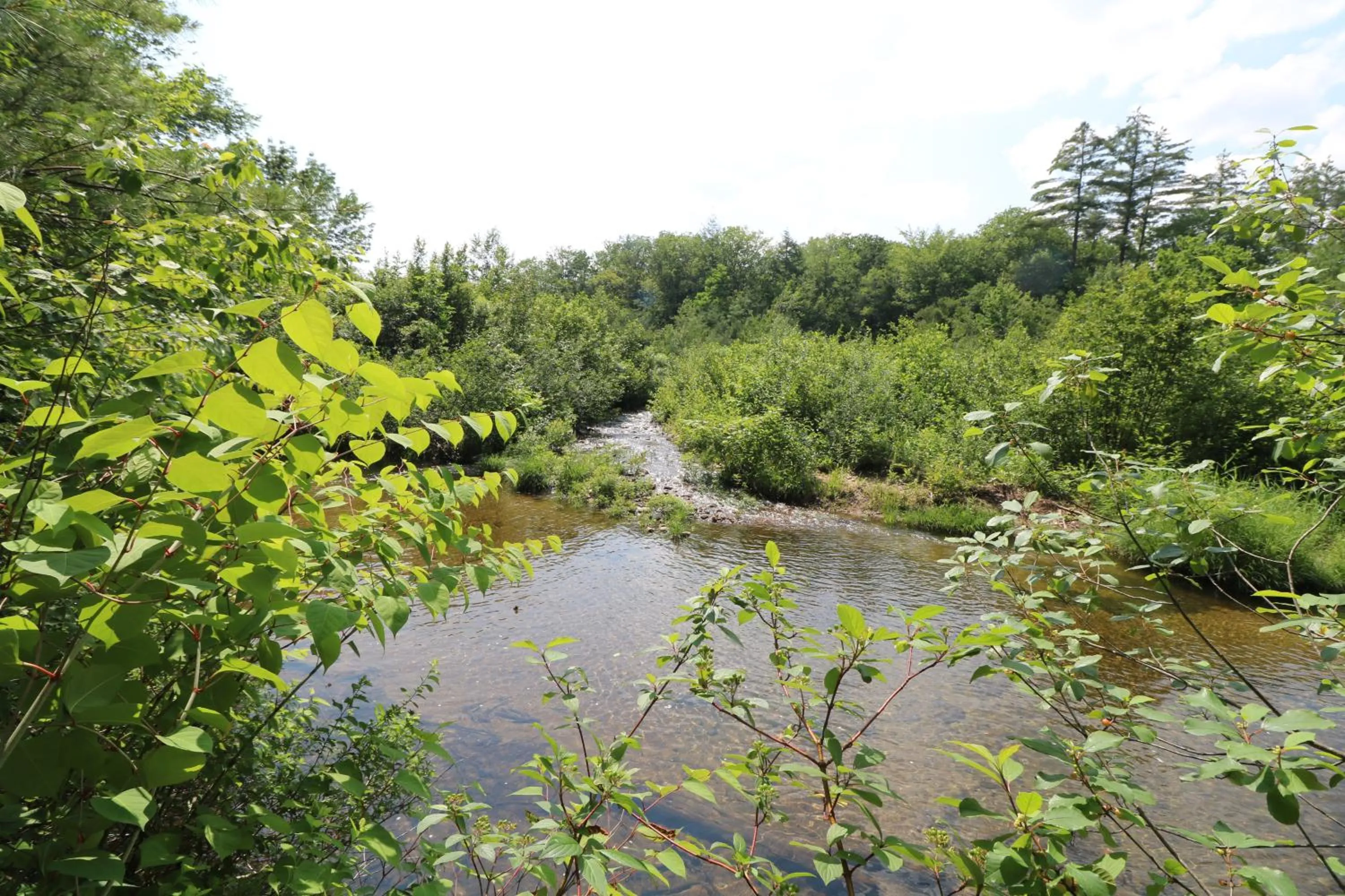 River view in The Villager Motel