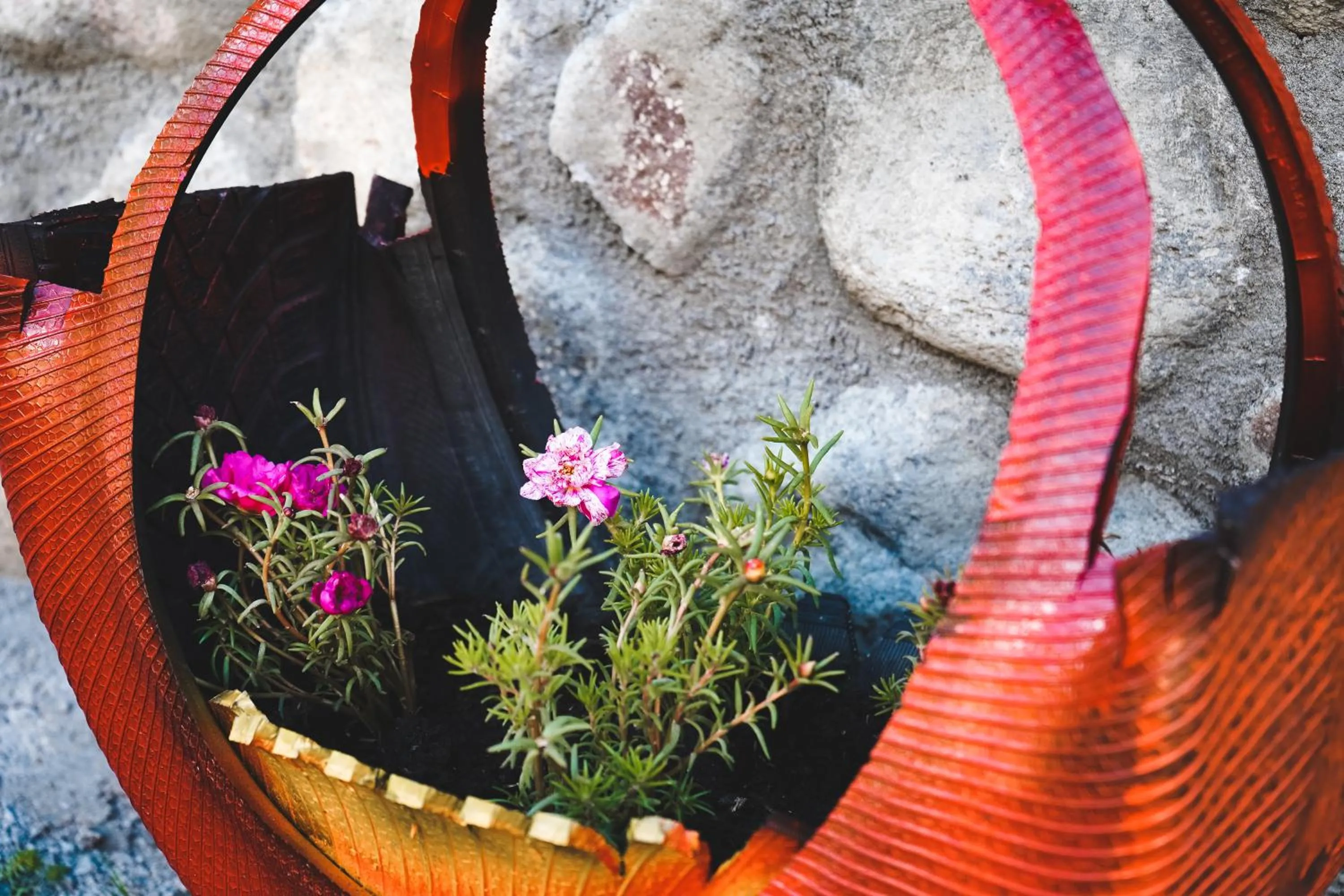 Traveler's Cottages in Kazbegi