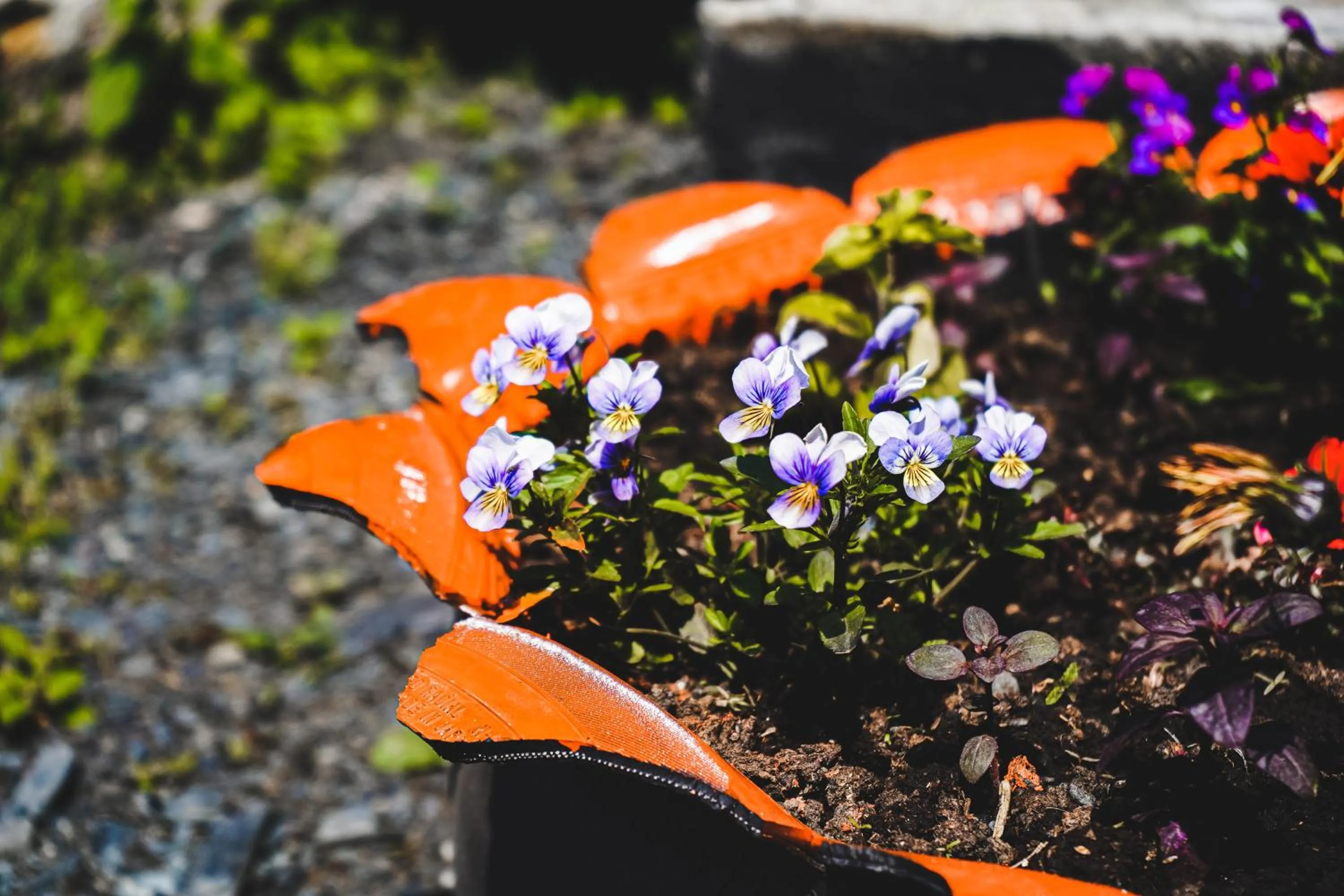 Traveler's Cottages in Kazbegi