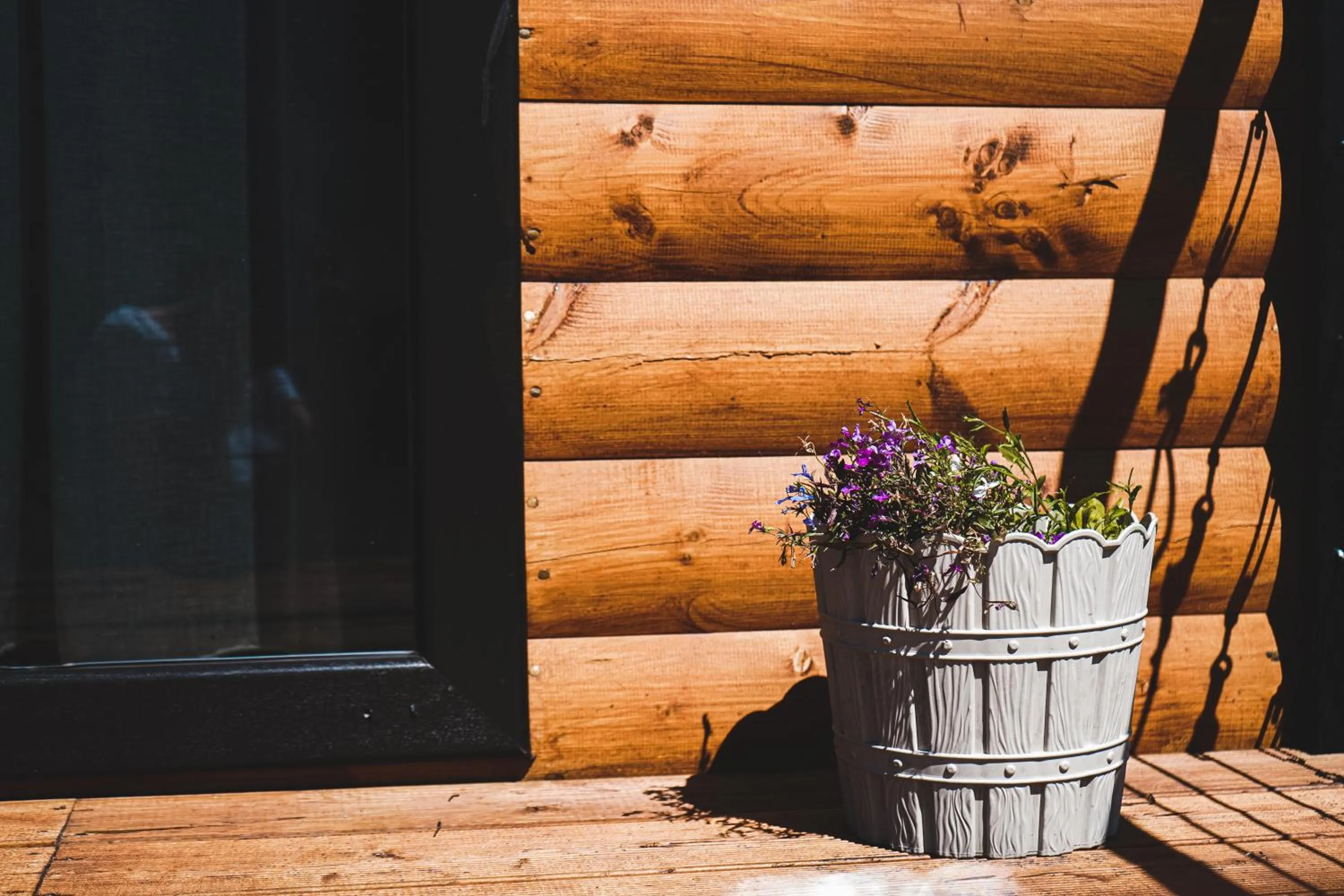 Traveler's Cottages in Kazbegi