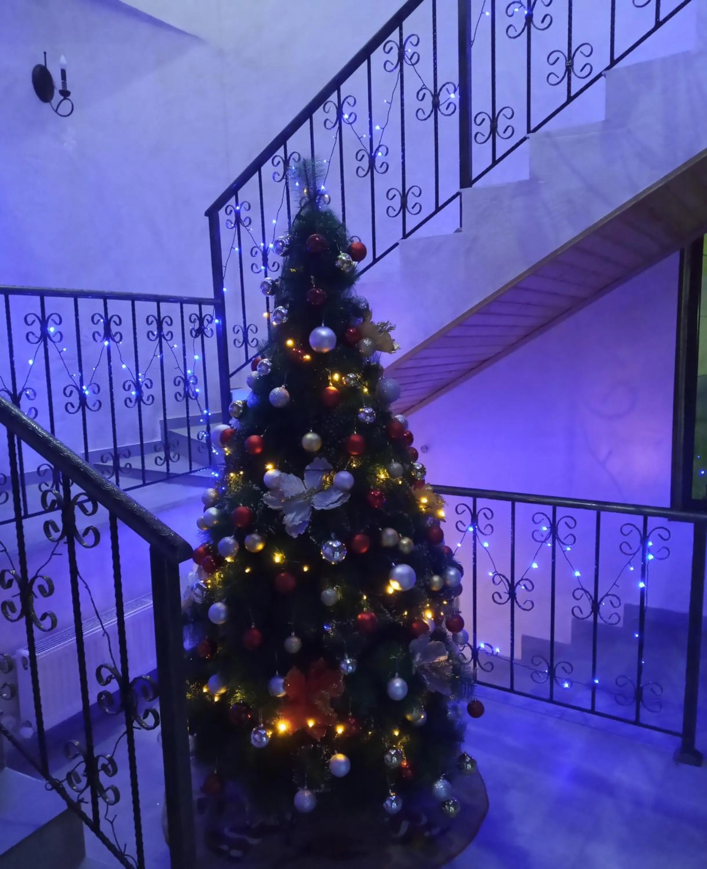 Living room in Hotel Elite House