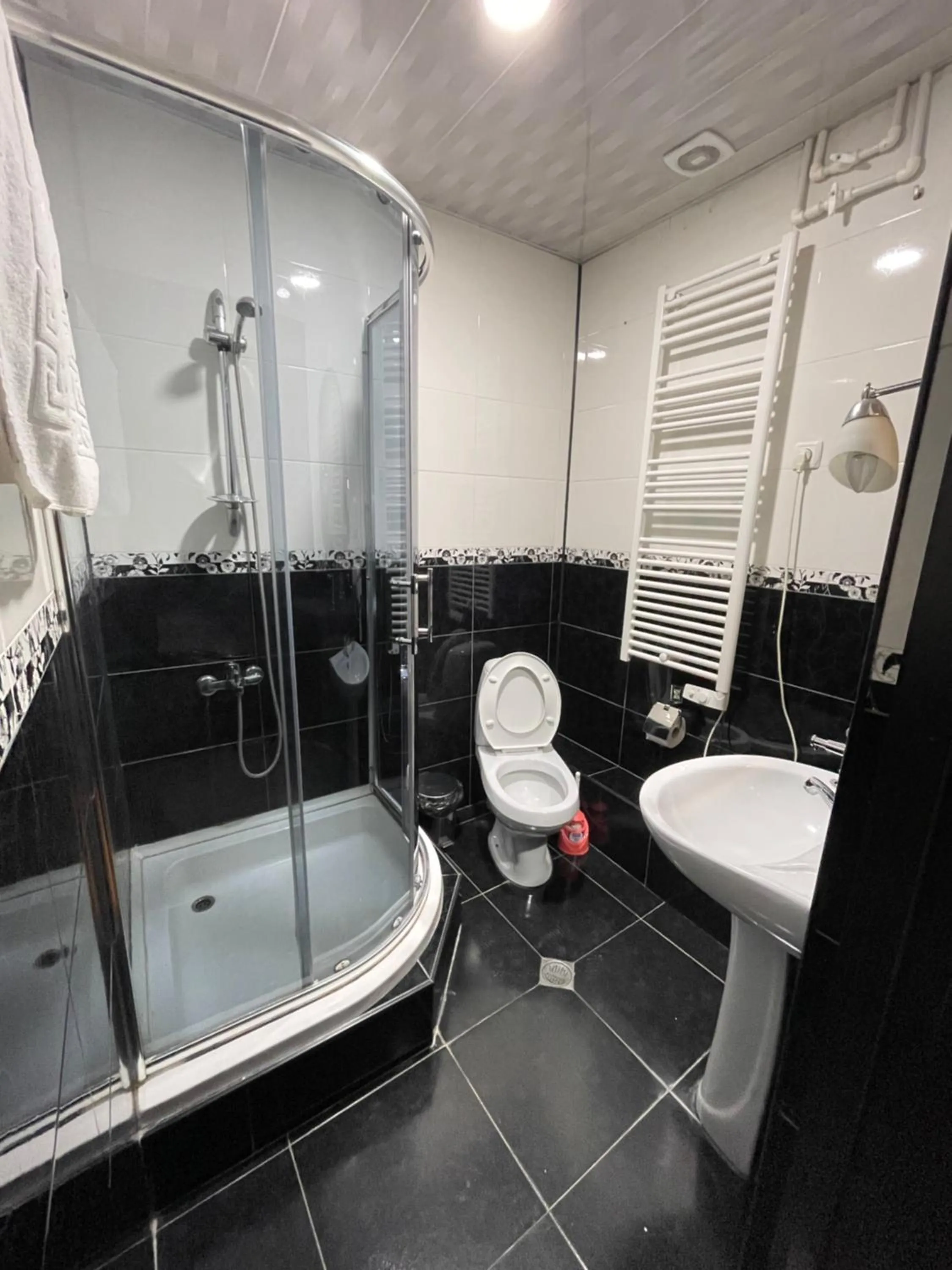 Bathroom in Hotel Elite House