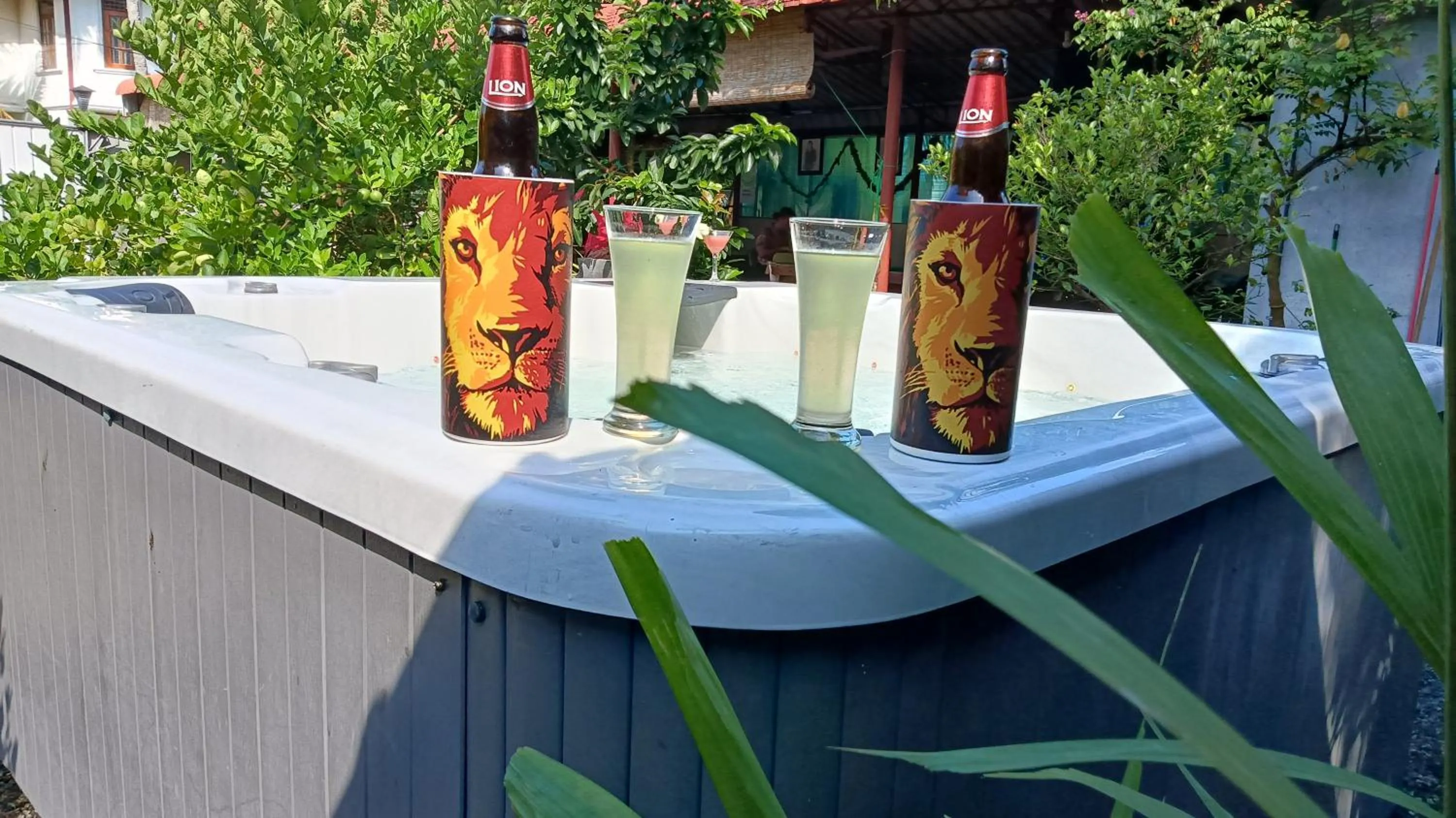 Garden in Palms Villa