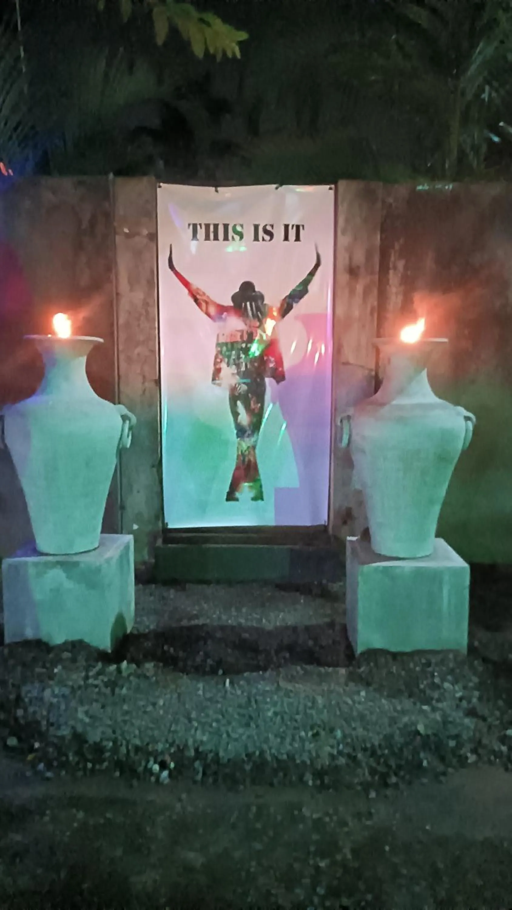 Garden in Palms Villa