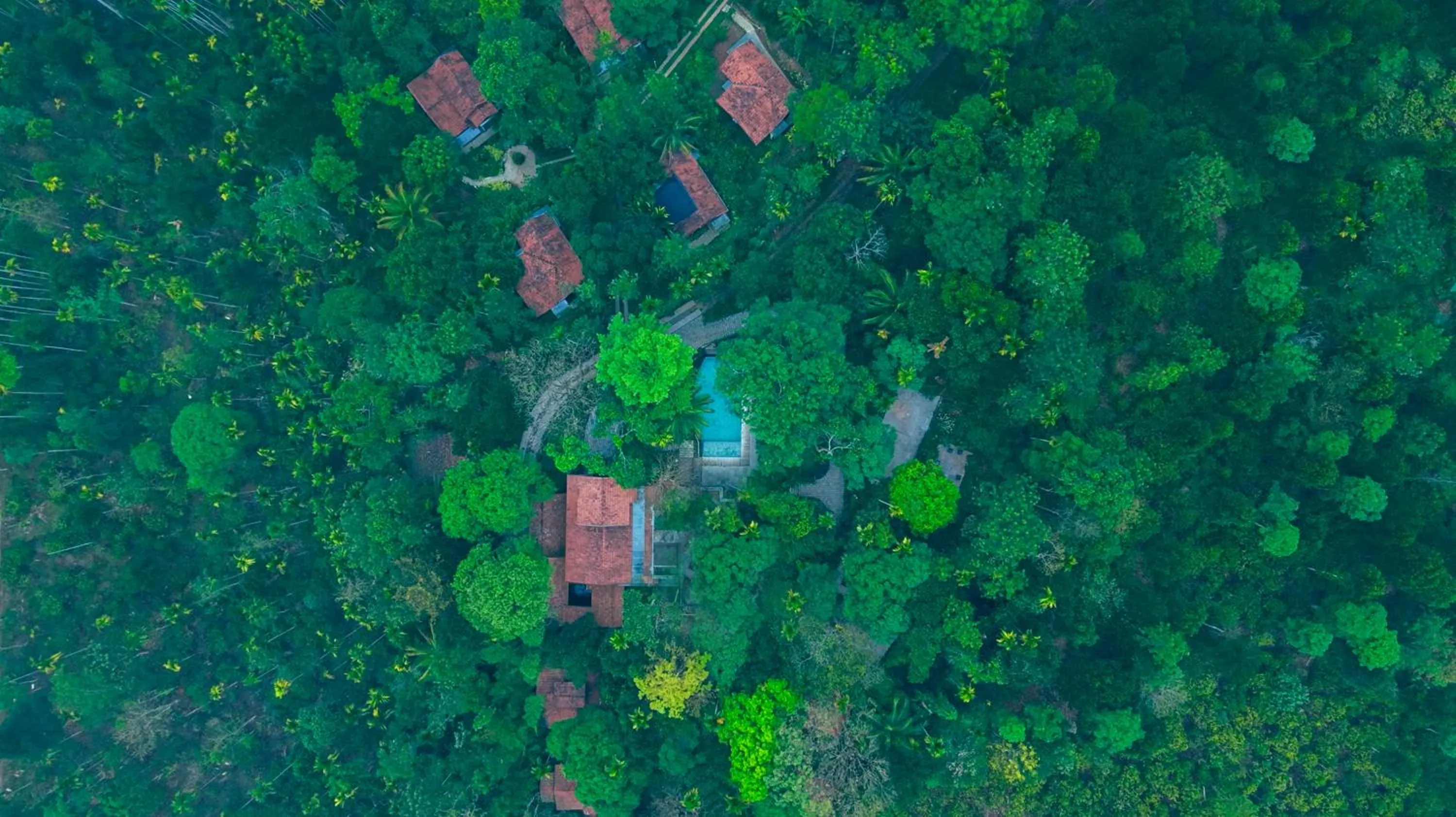 Property building in Willow Resorts Wayanad