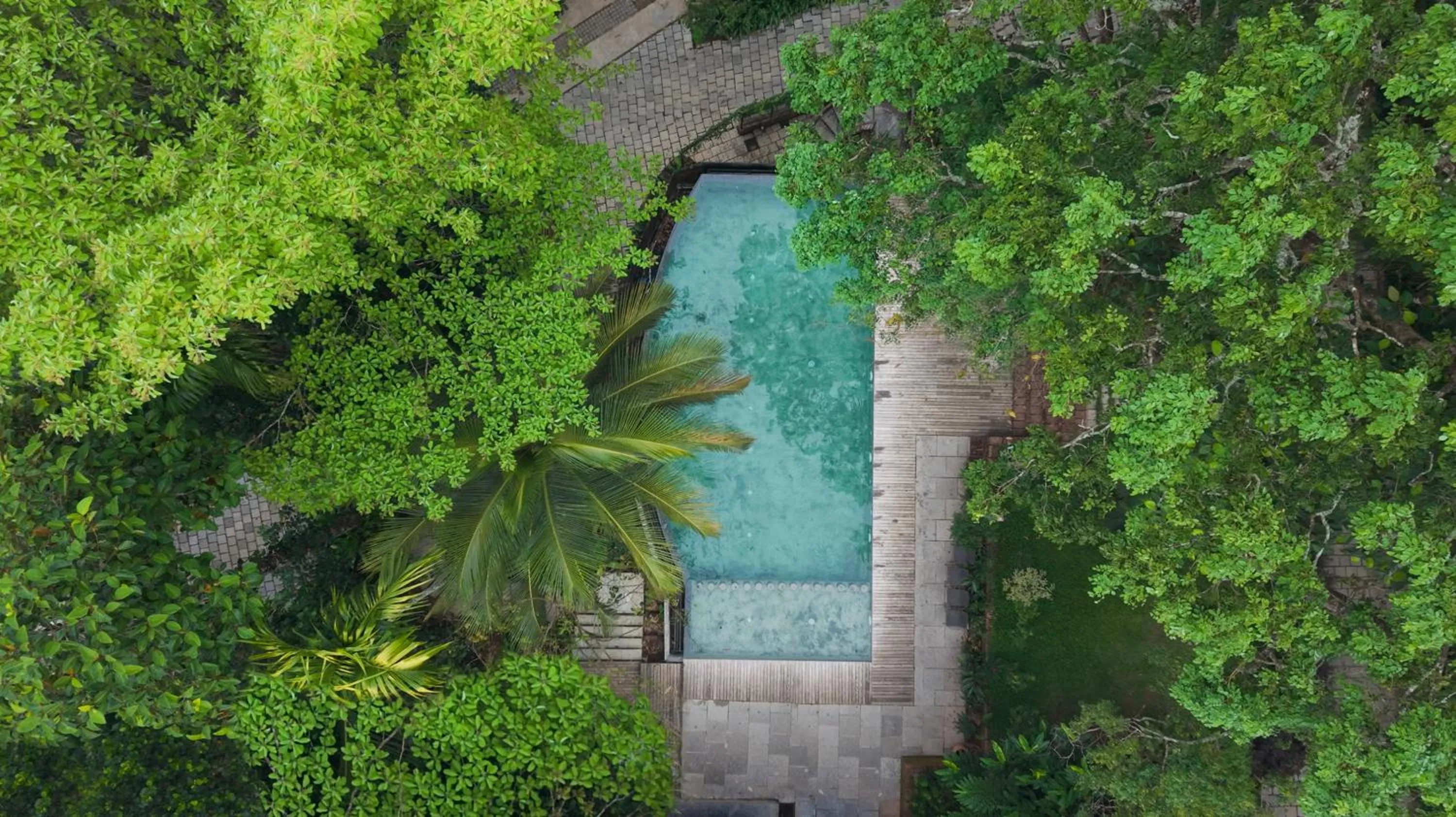 Swimming pool in Willow Resorts Wayanad