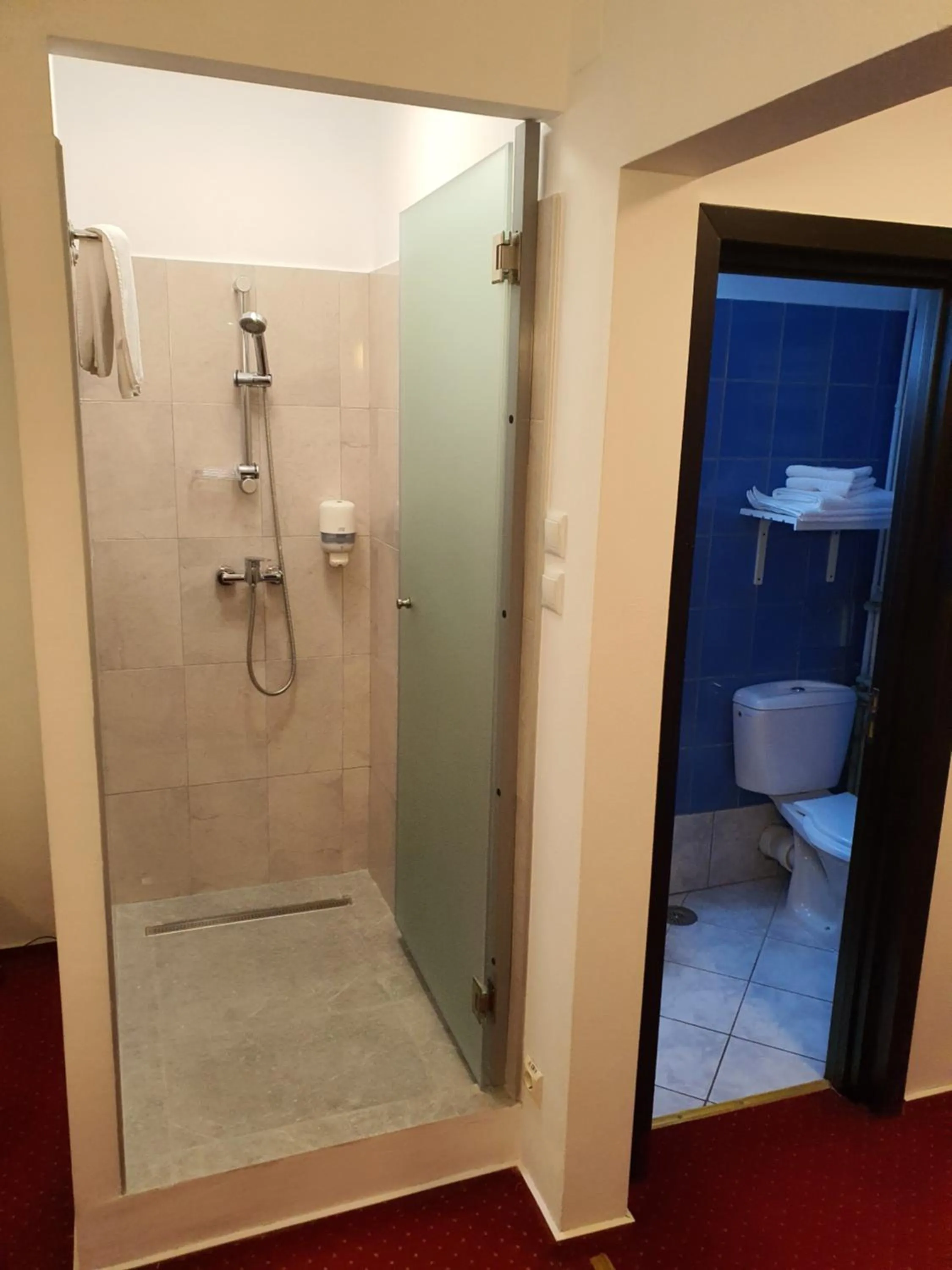 Shower in Cristal Sinaia