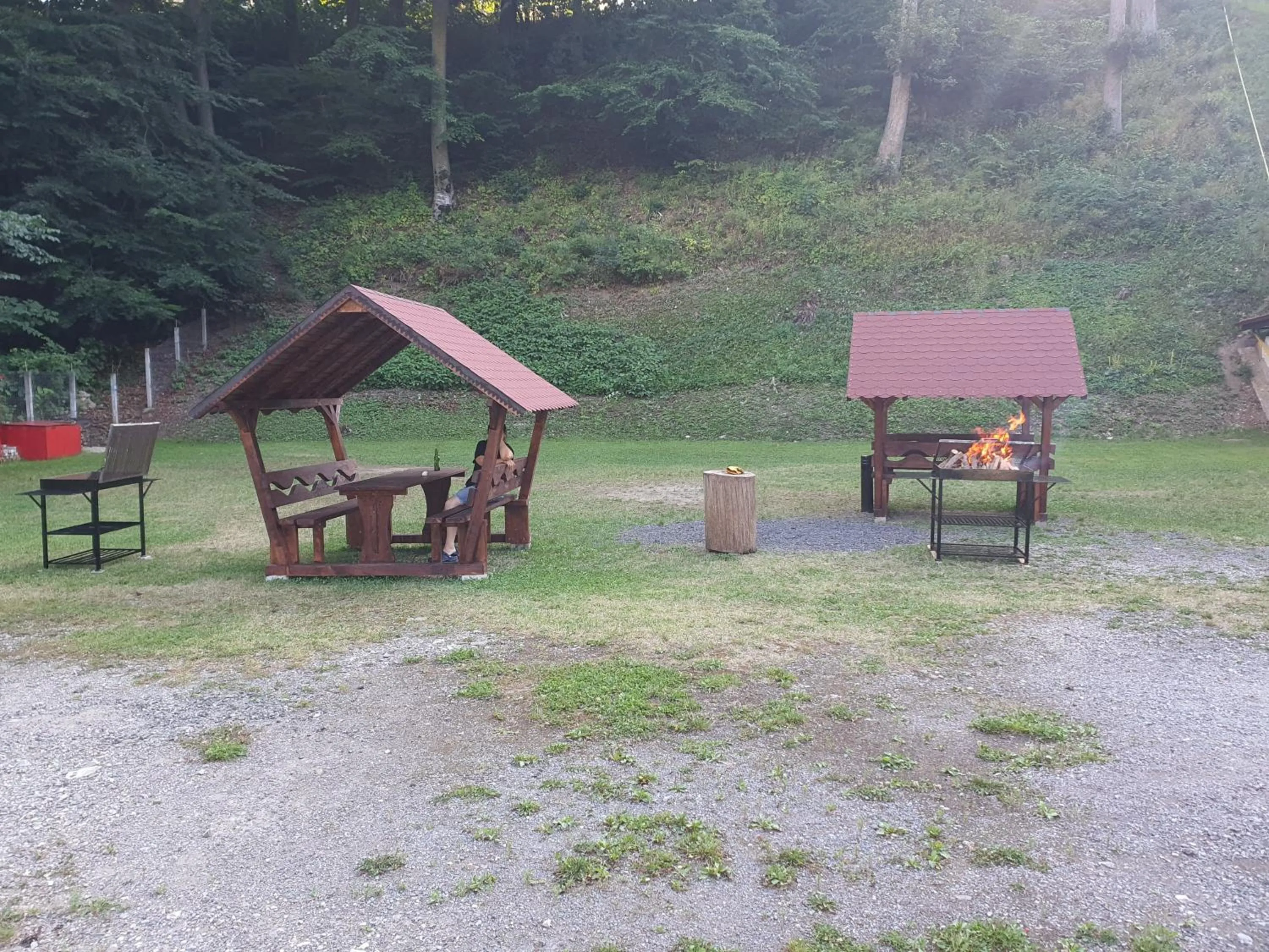 Day in Cristal Sinaia