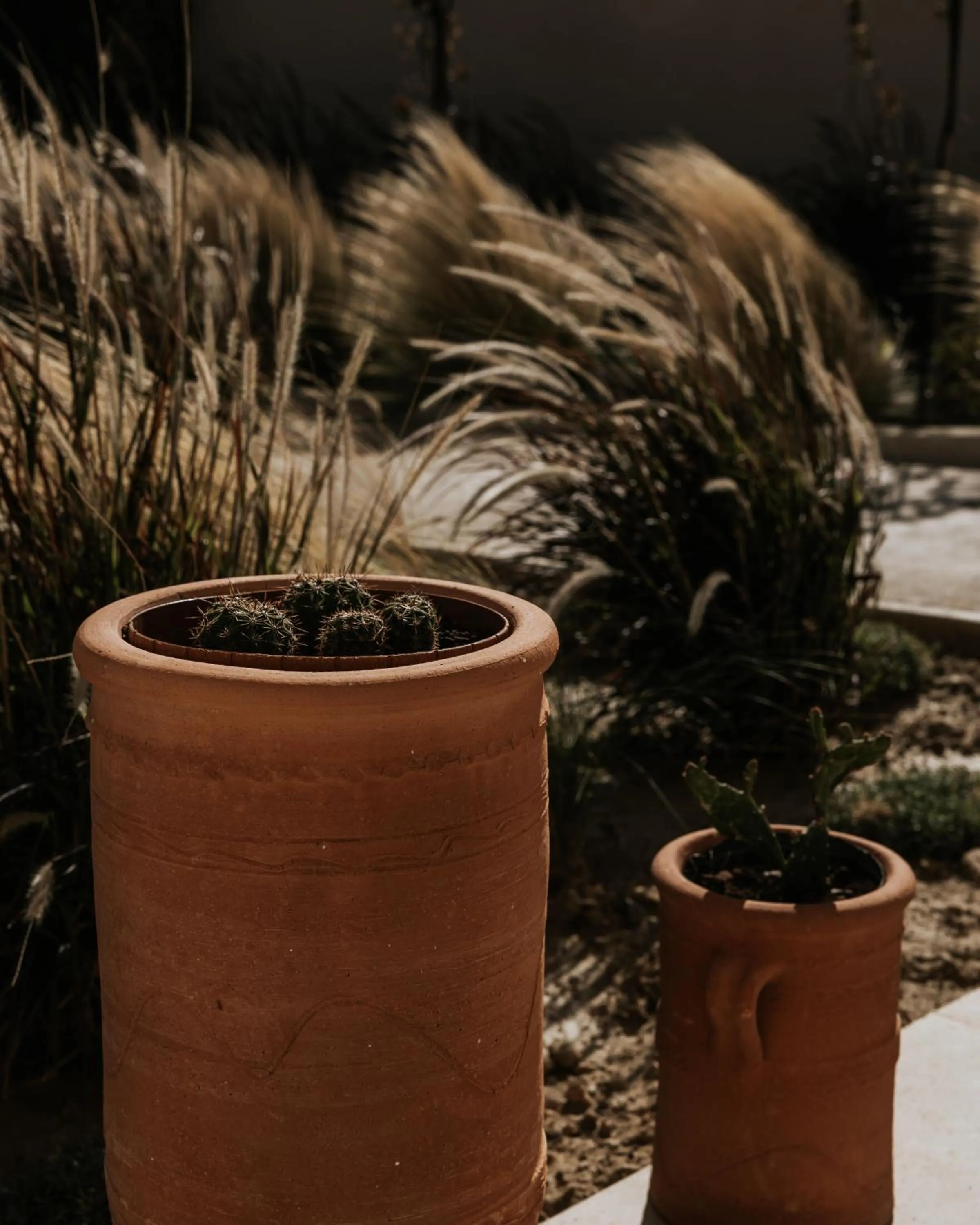 Natural landscape in AMÉNTE Mindful Stay