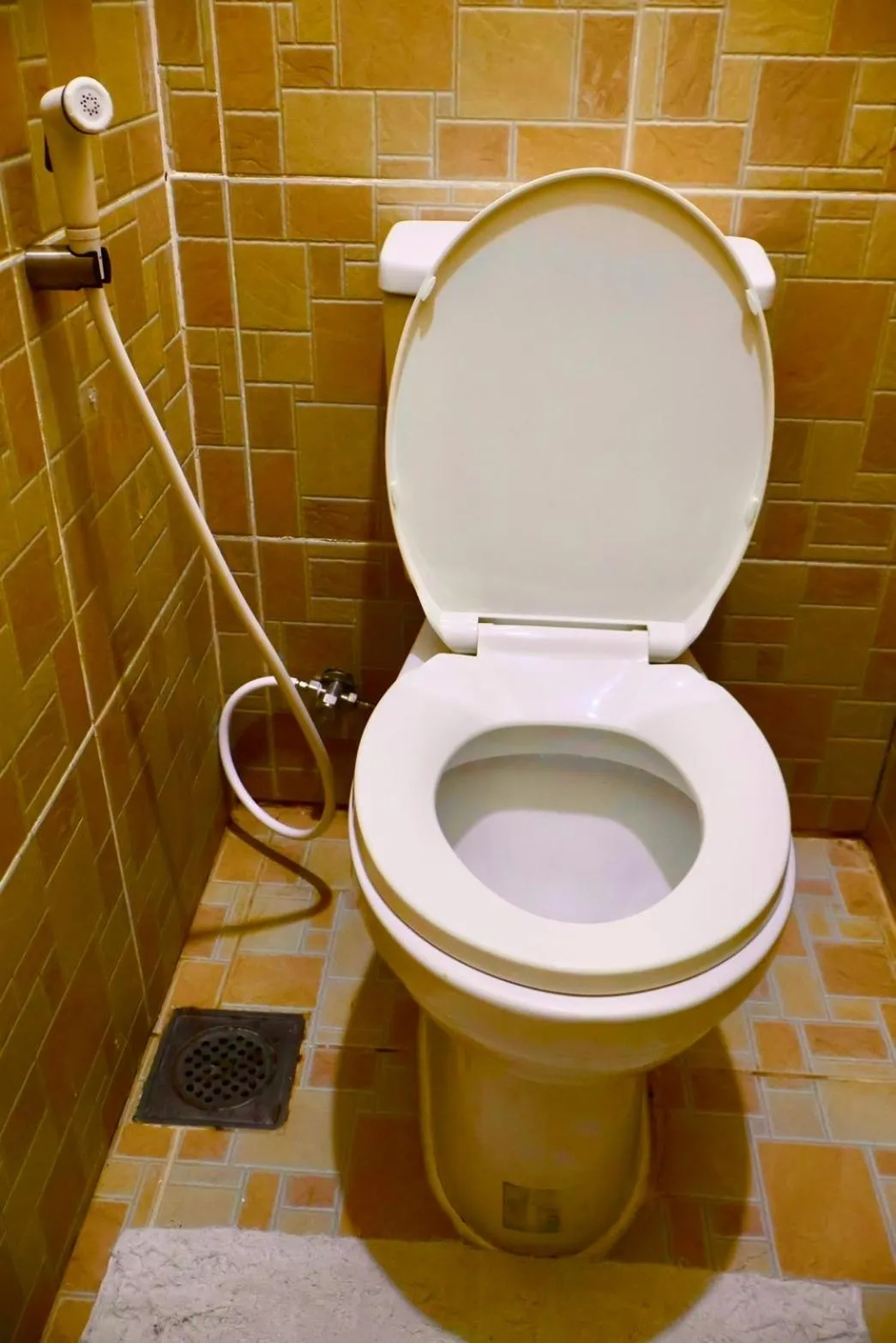 Toilet in CHIISAI NATSU RESORT