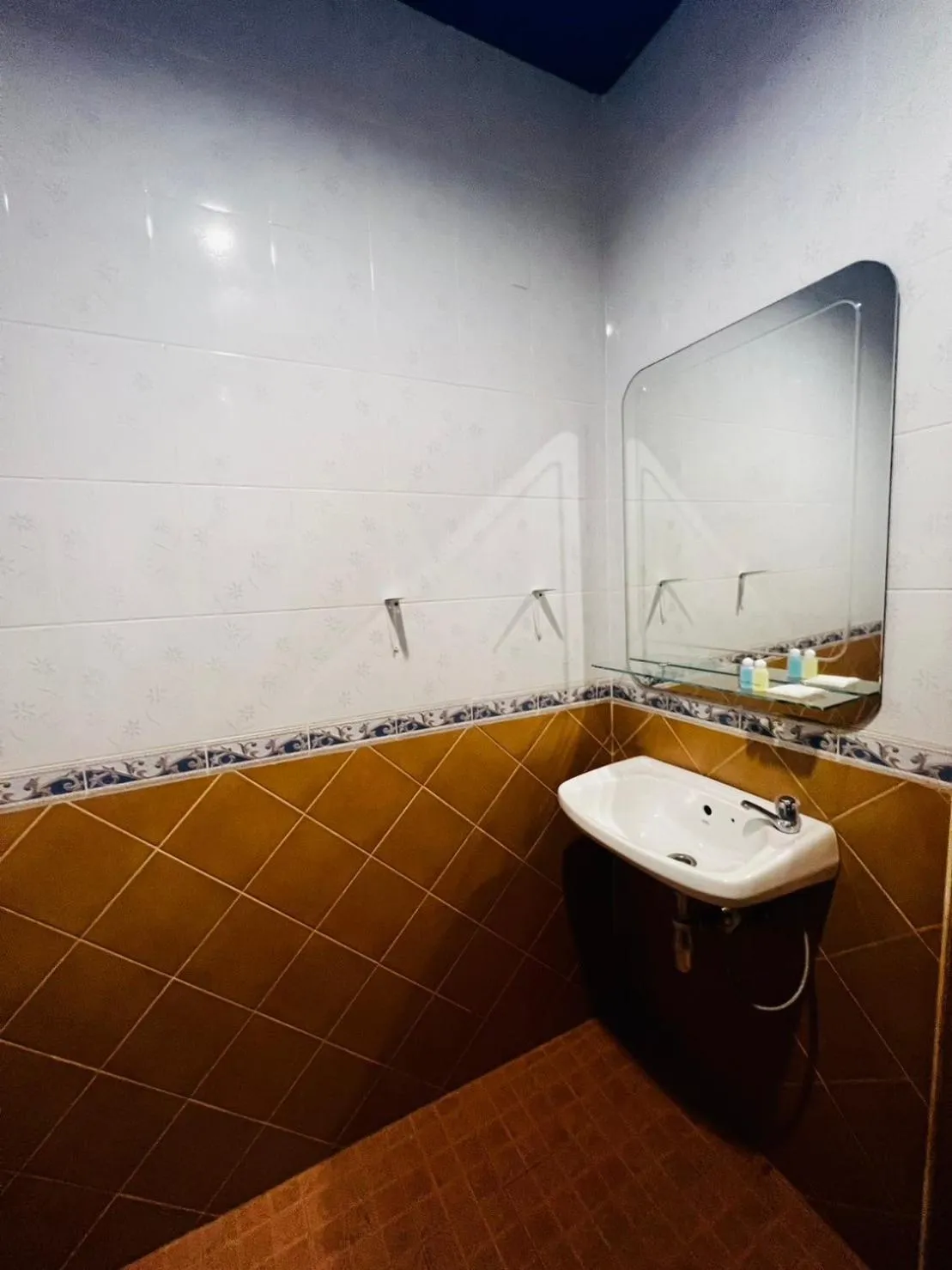 Toilet in Blue Planet Hotel