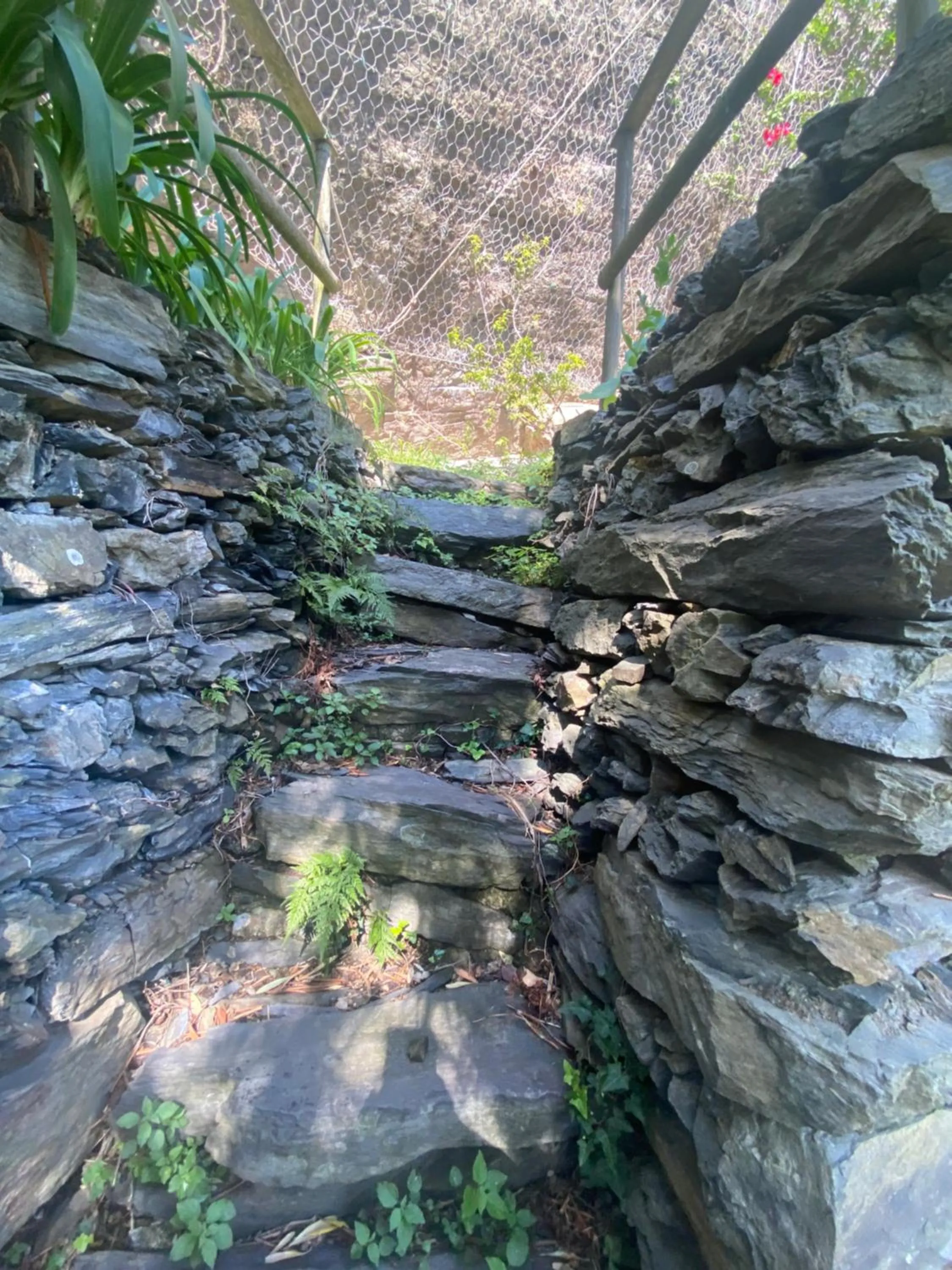 Garden in Pensione Sorriso