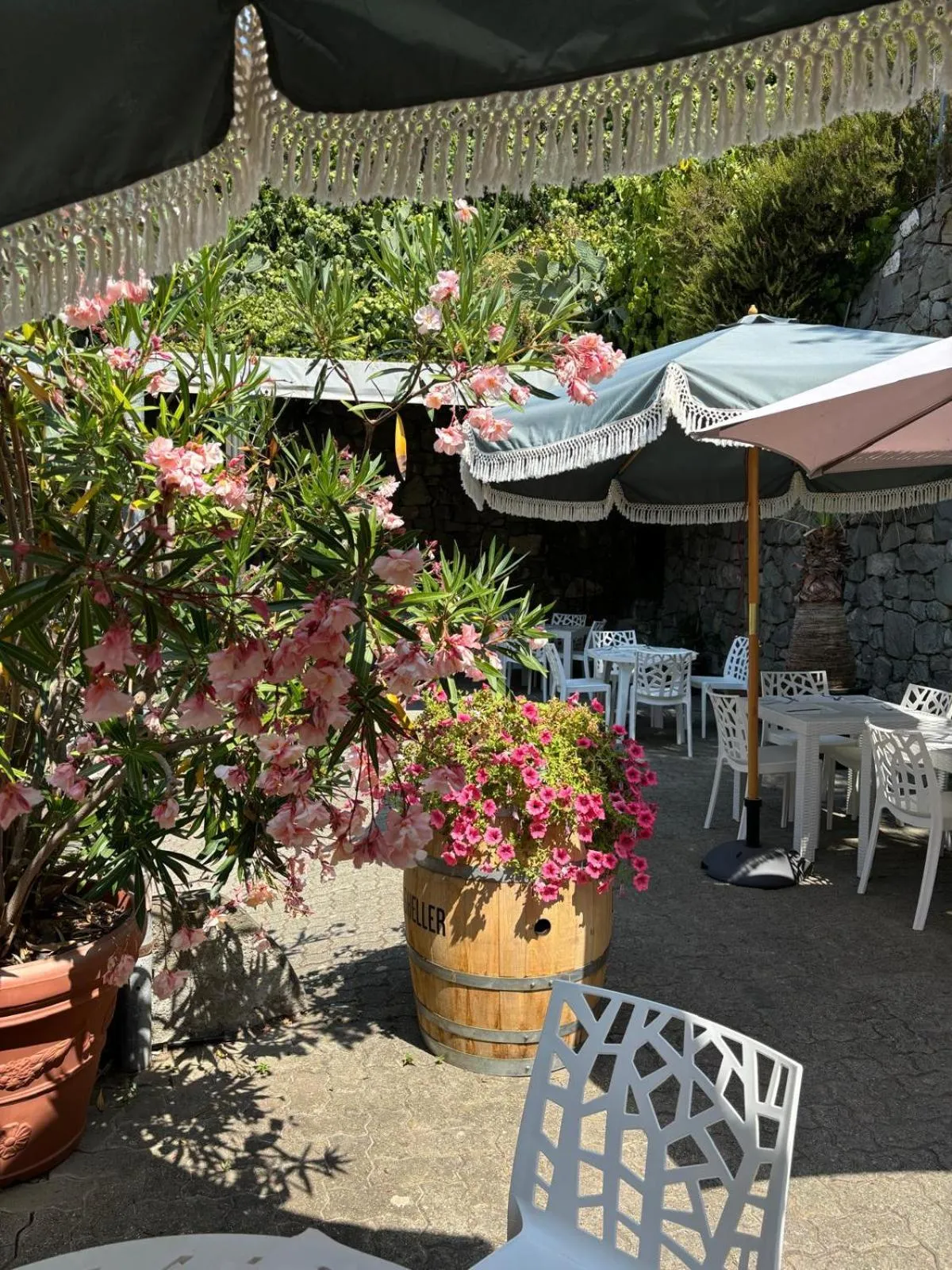 Balcony/Terrace in Pensione Sorriso
