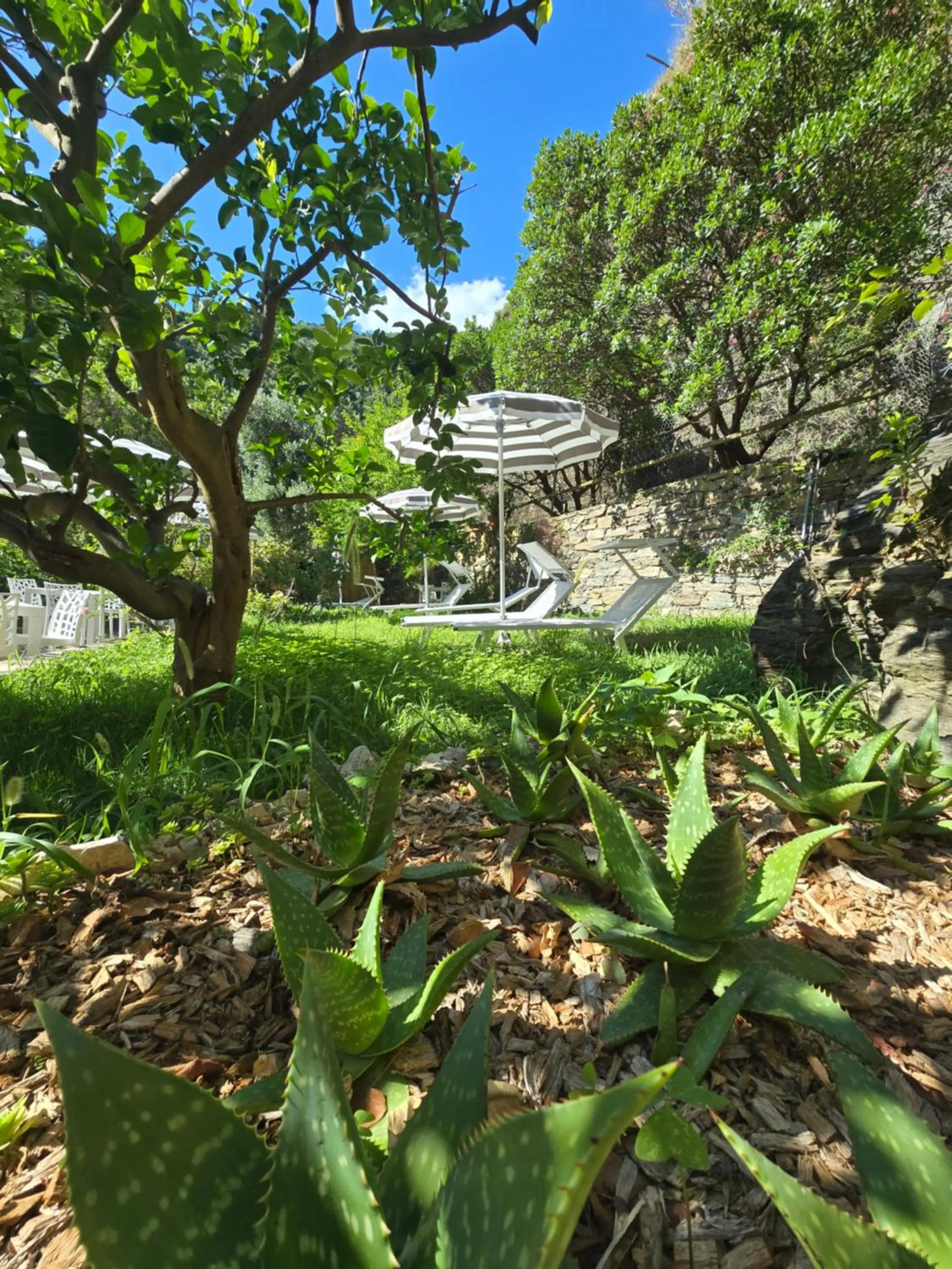 Natural landscape in Pensione Sorriso