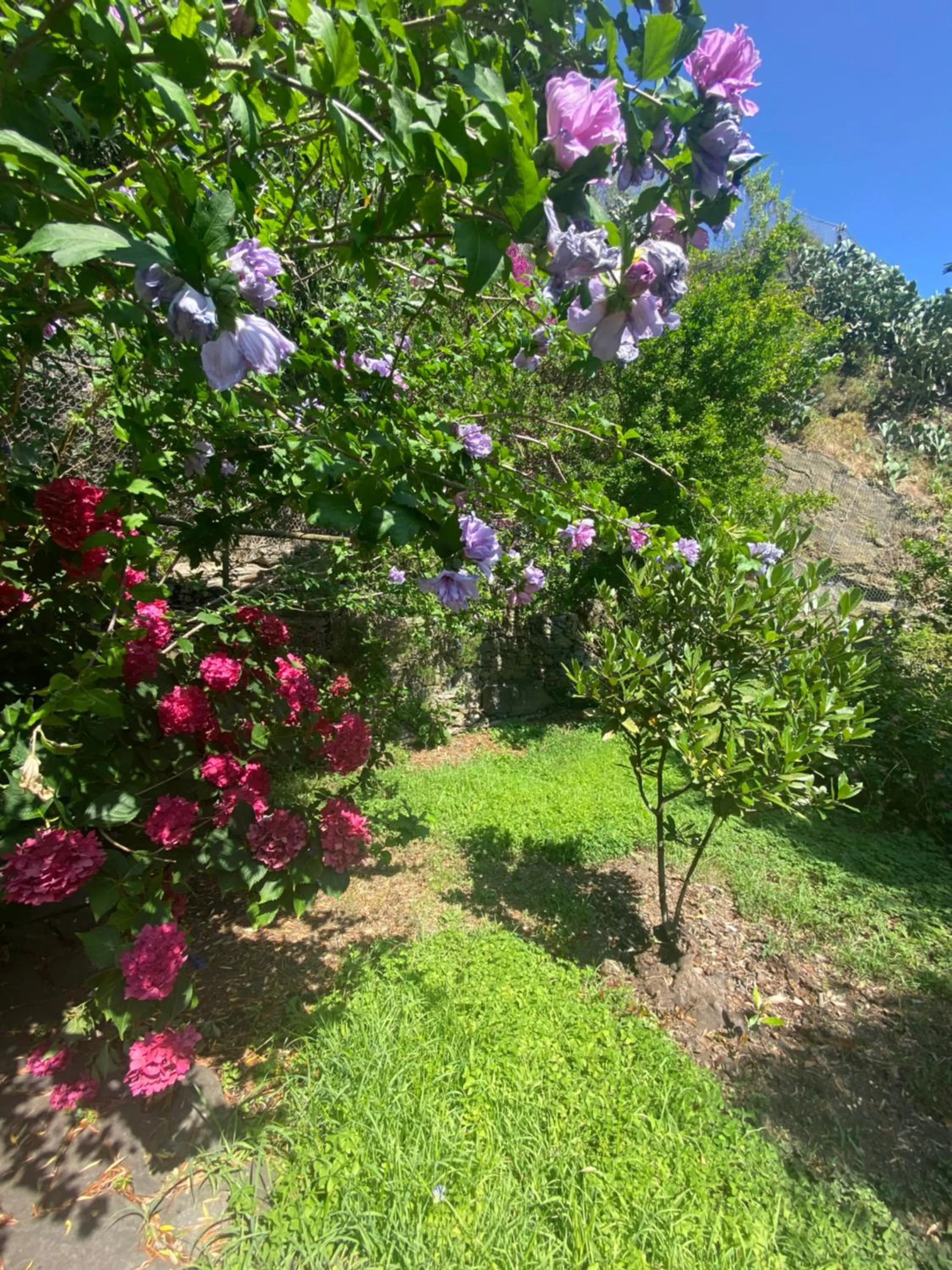 Day in Pensione Sorriso