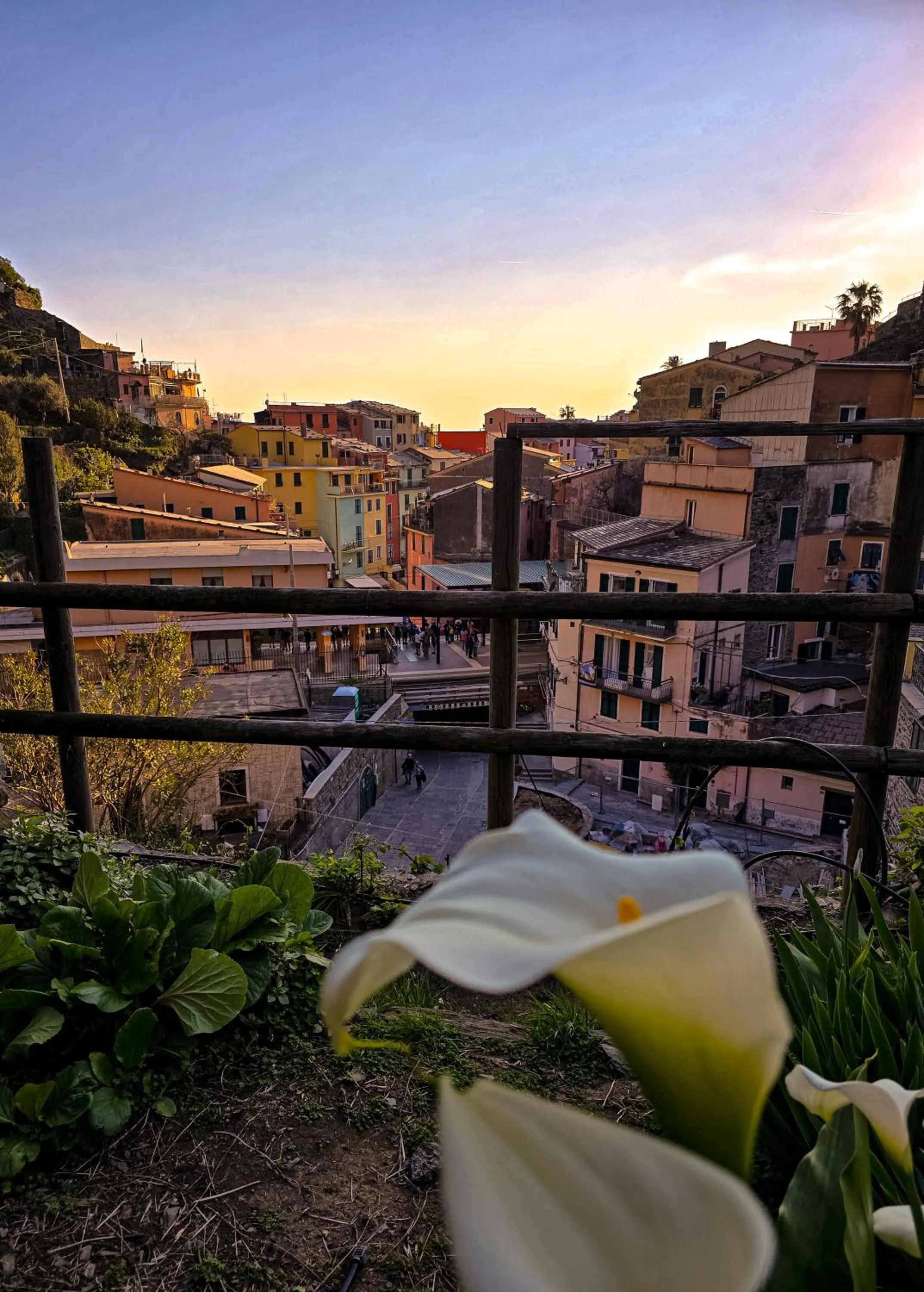 Natural landscape in Pensione Sorriso