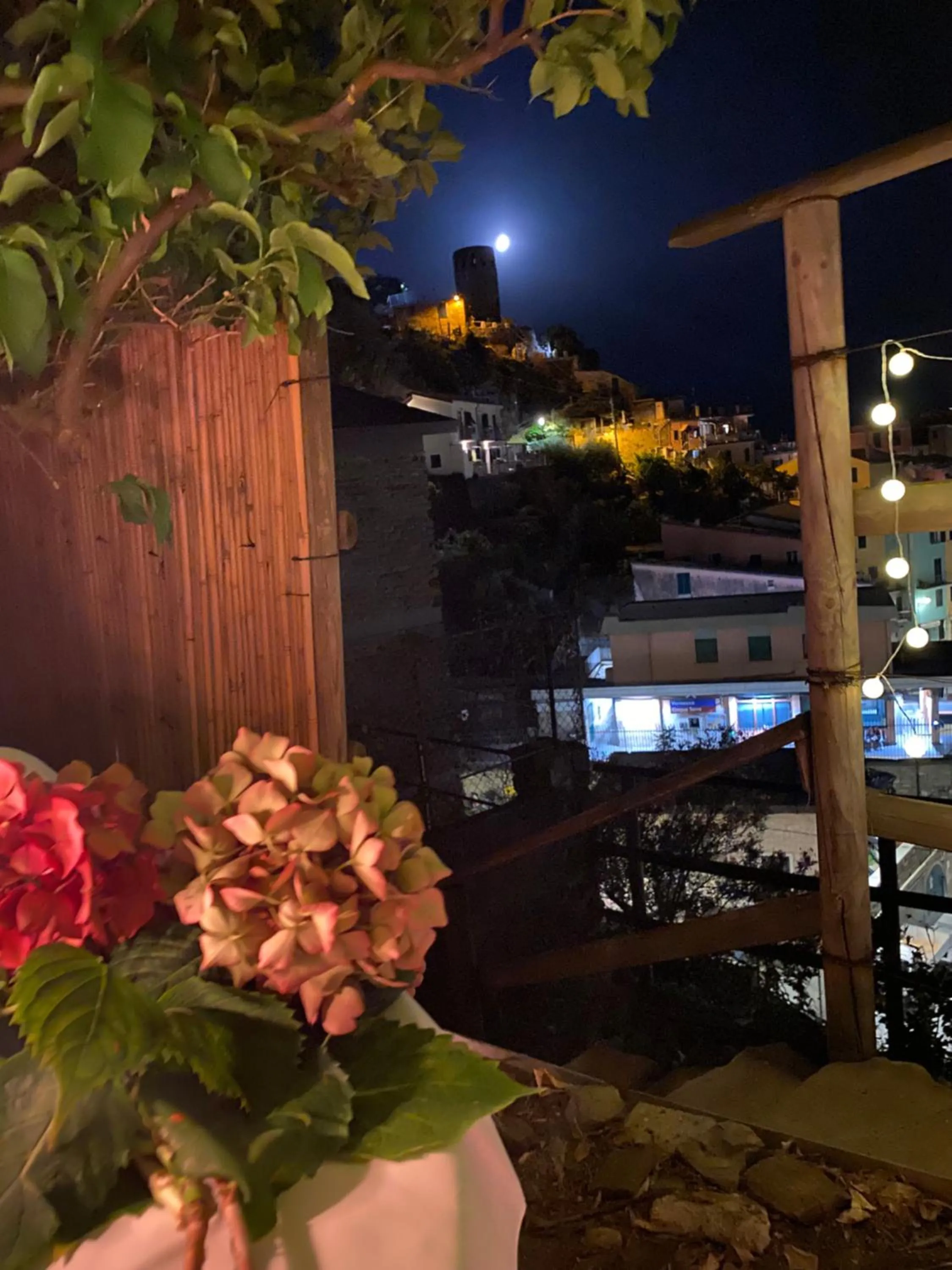 Garden in Pensione Sorriso