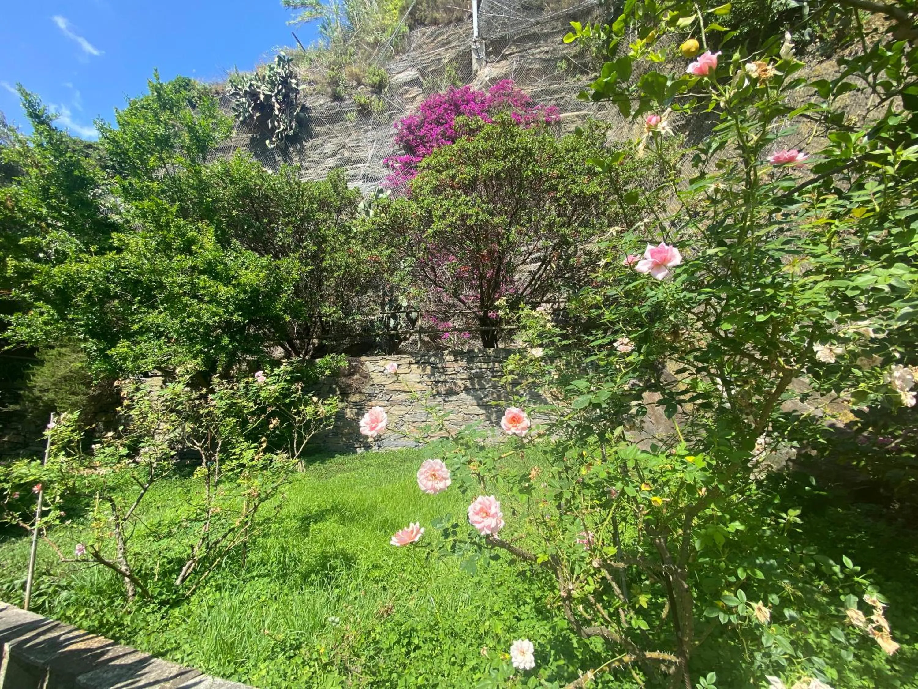 Day in Pensione Sorriso