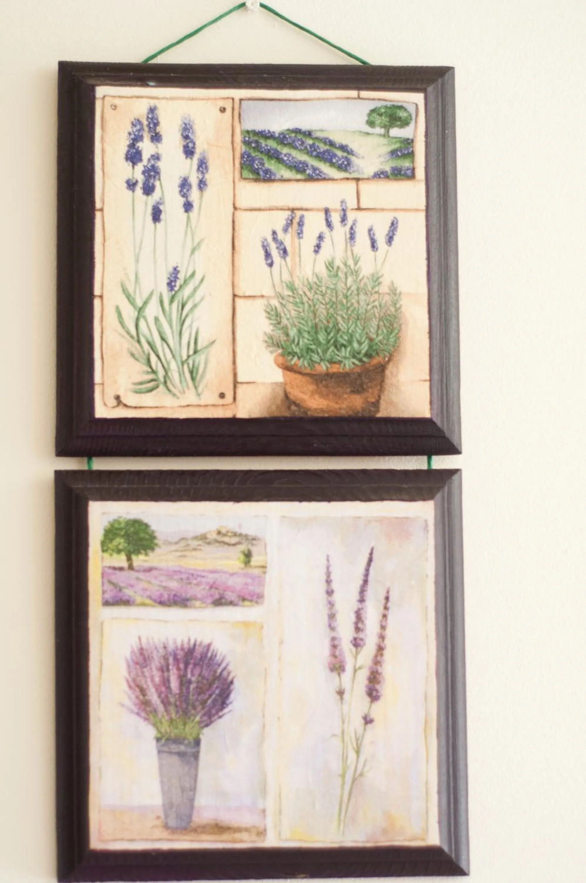 Property building in Vila Alma