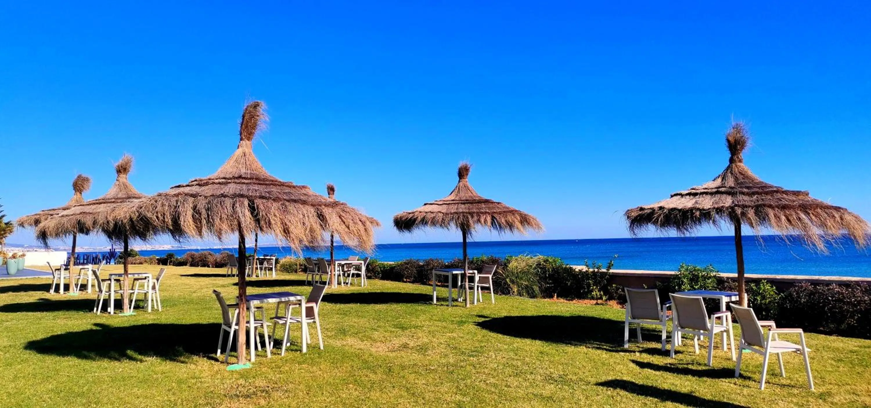 PLAYA DEL PACHA Suites Hotel